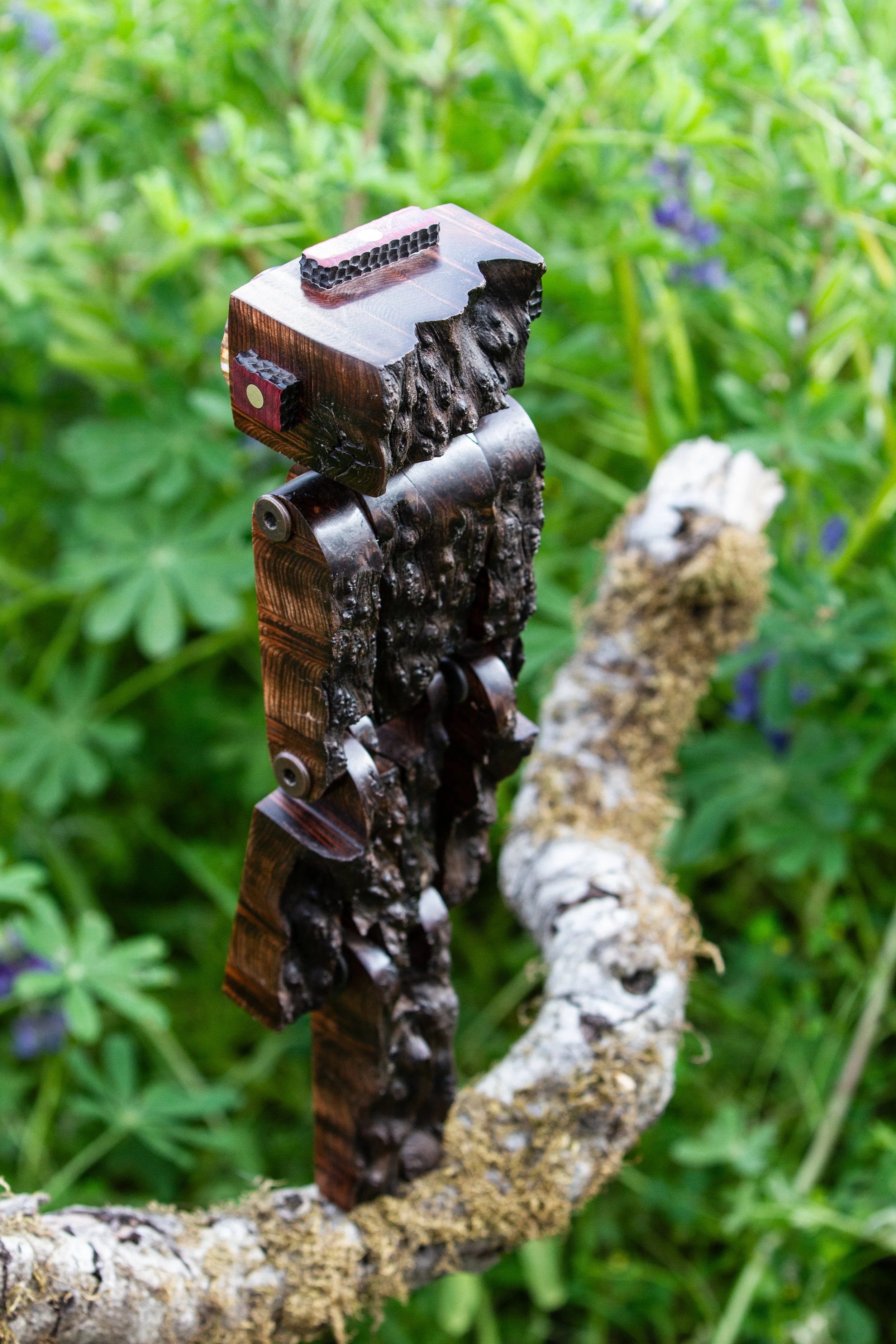 StickerLauris Nobilis-16.jpeg