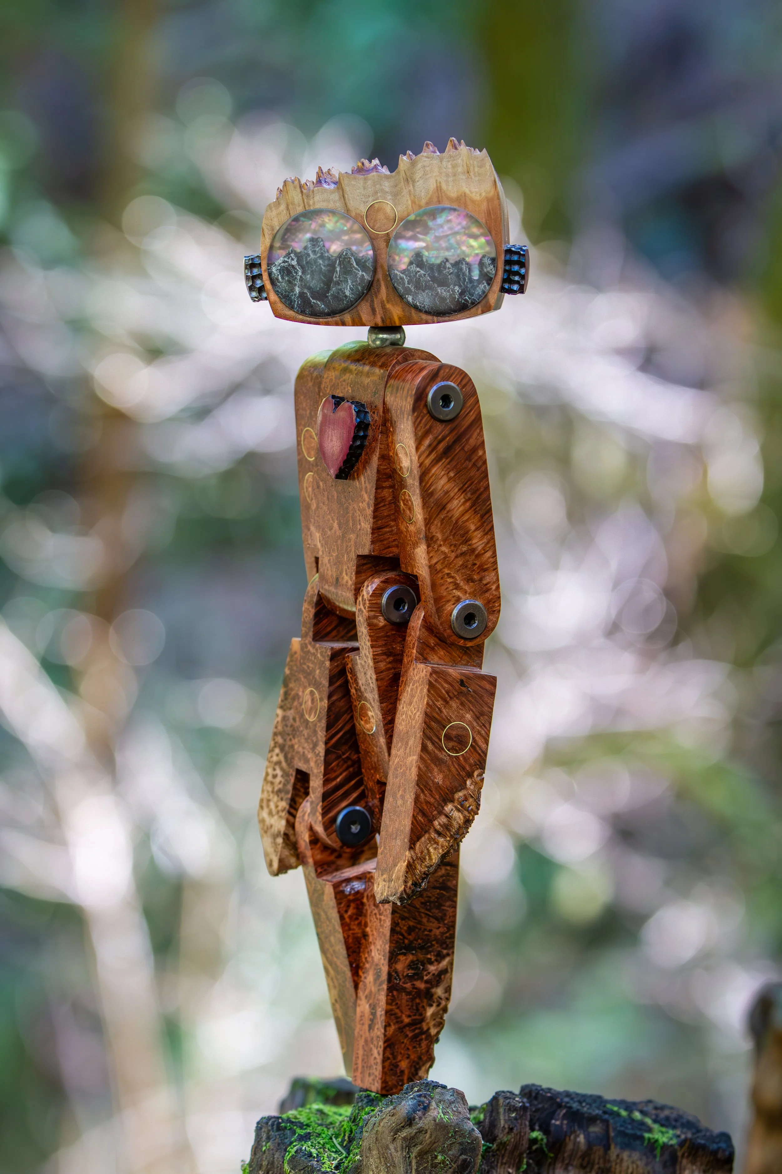 StickerLauris Nobilis-14.jpeg