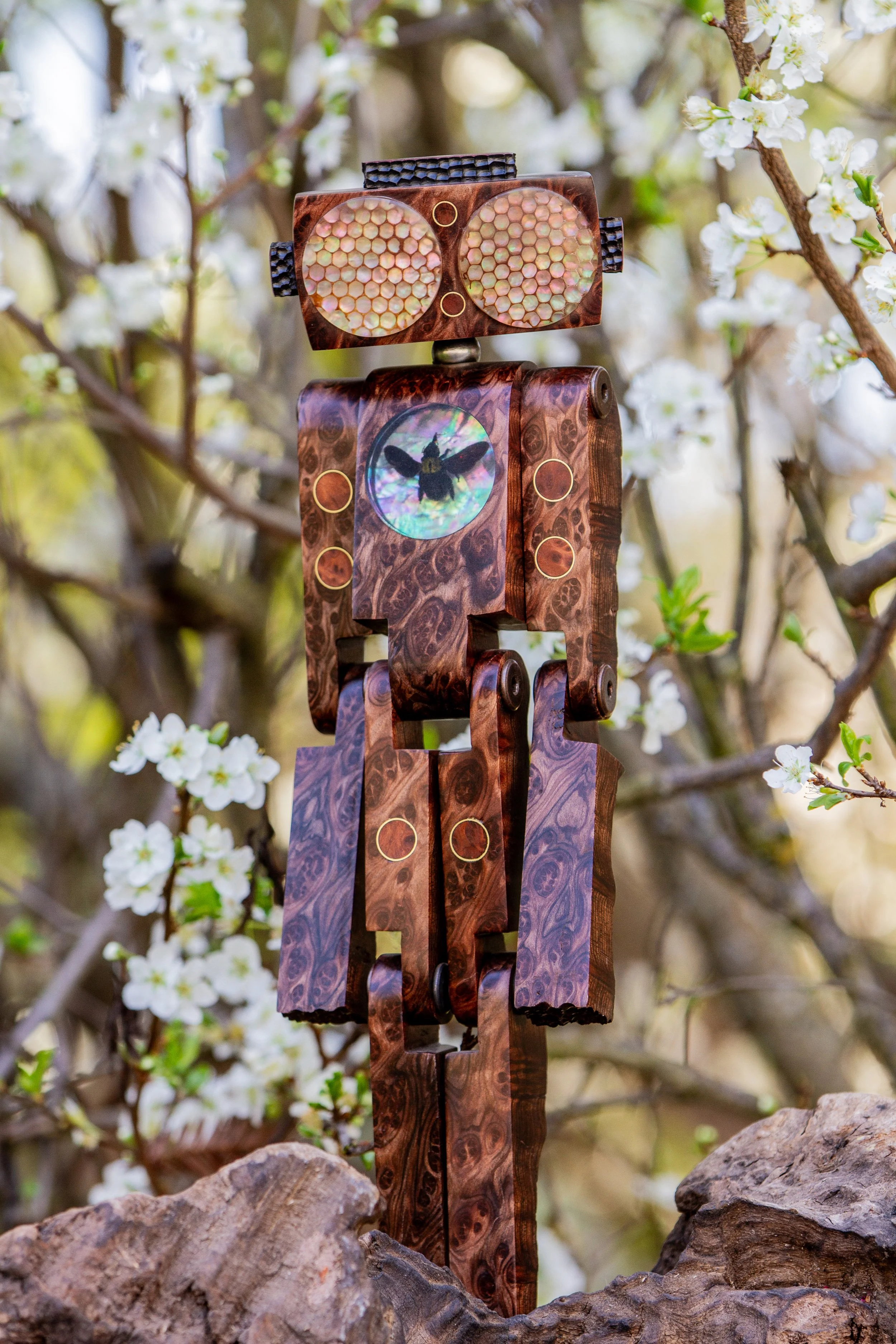 StickerLauris Nobilis-8.jpeg