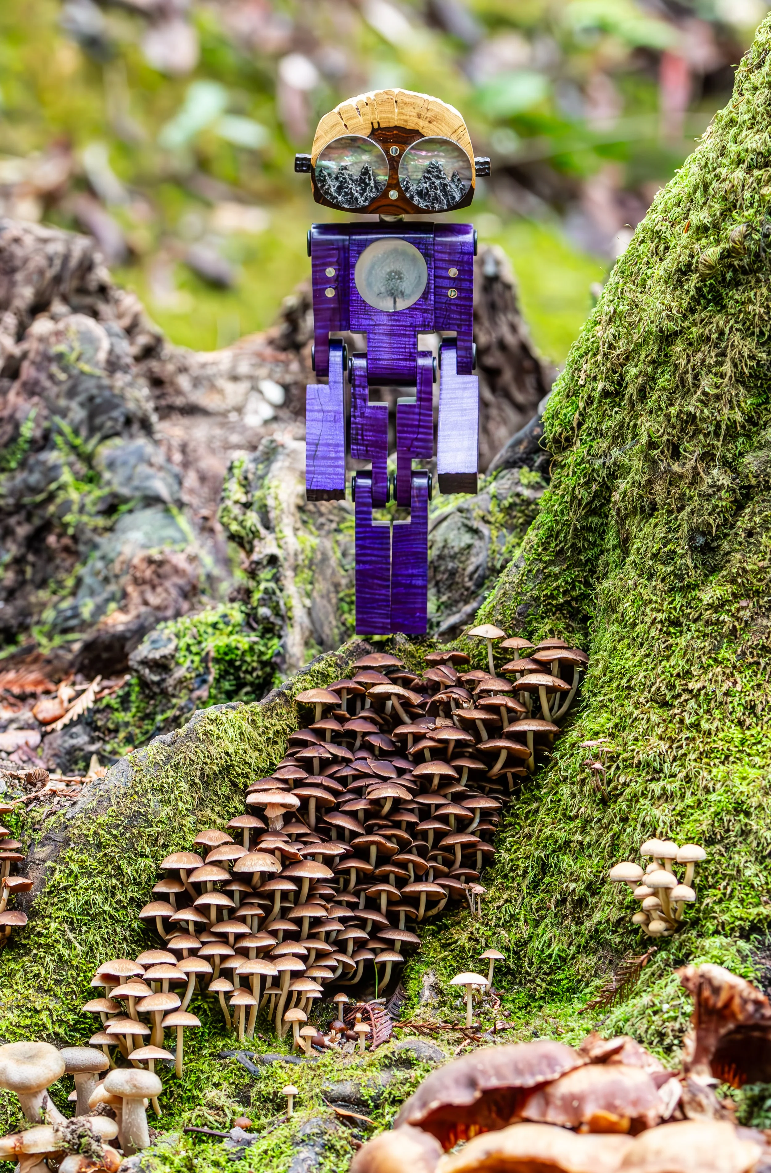 StickerLauris Nobilis-35.jpg