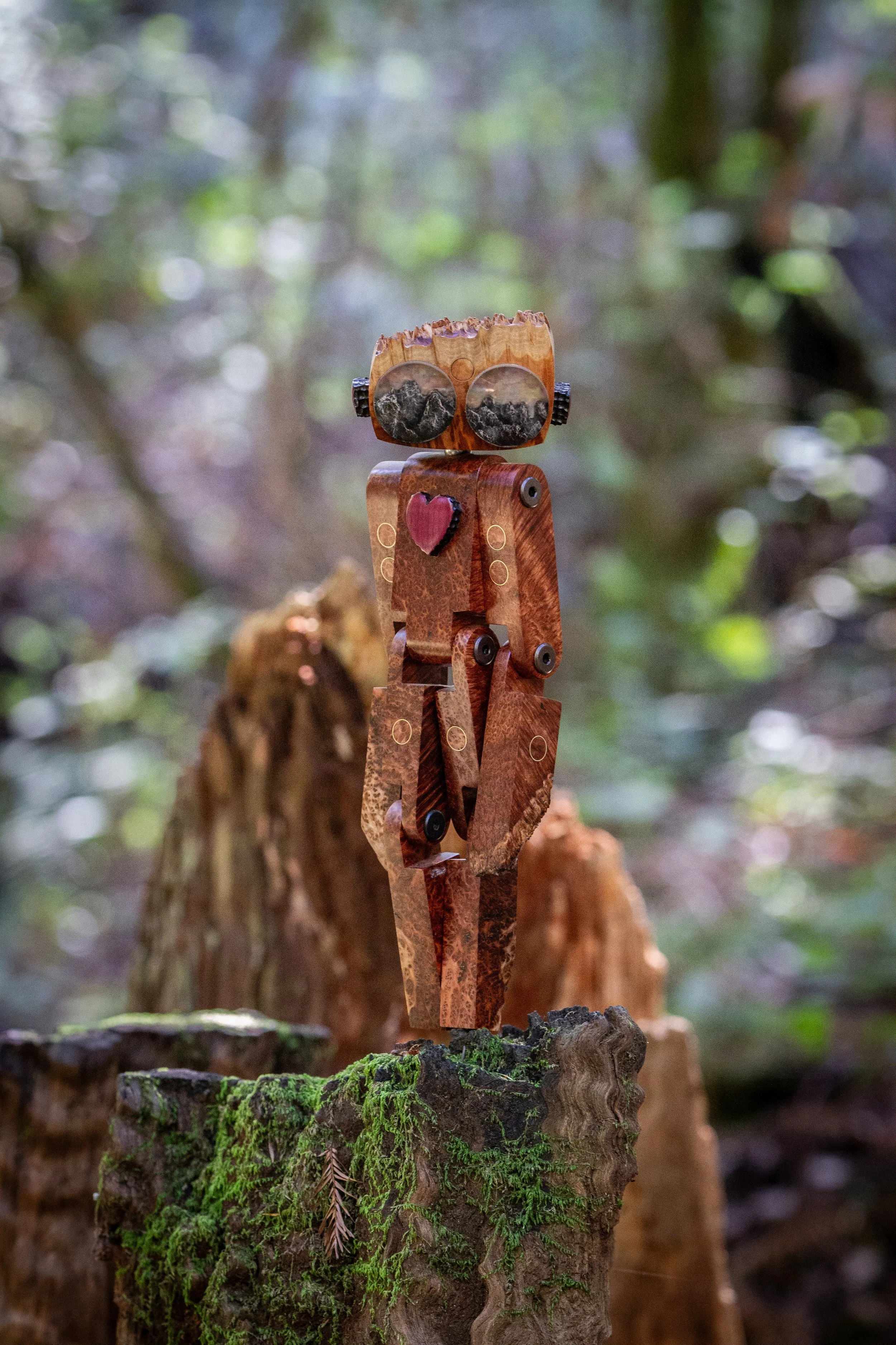 StickerLauris Nobilis-3.jpeg