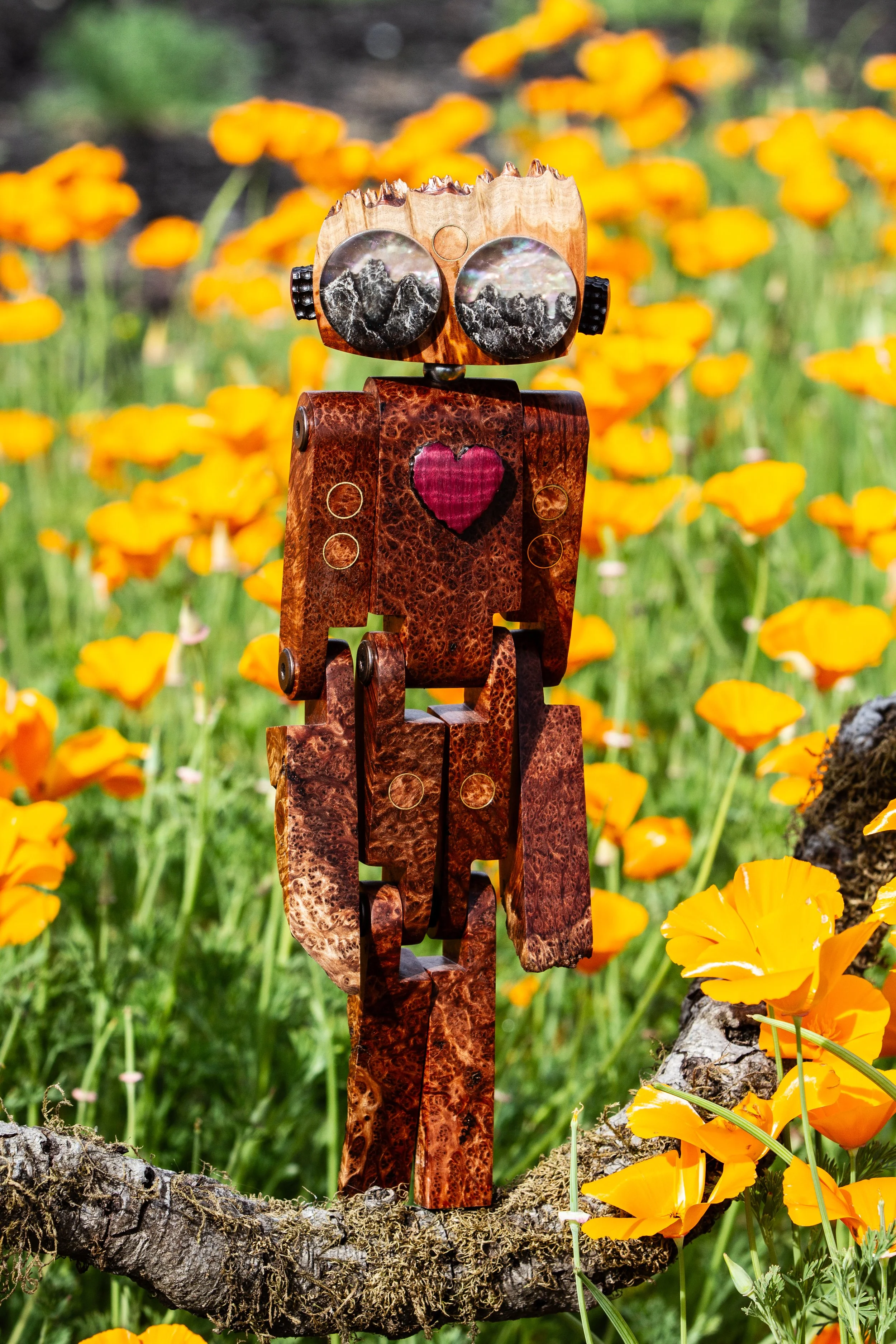 StickerLauris Nobilis-10.jpeg