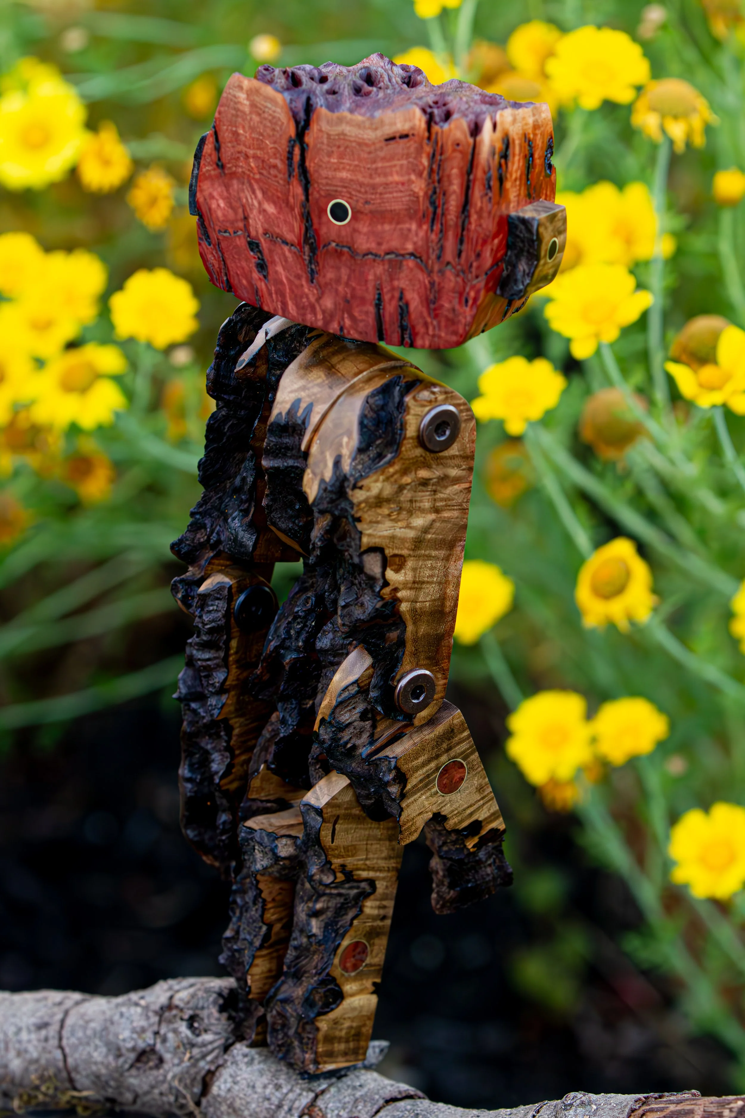 StickerLauris Nobilis-6.jpg