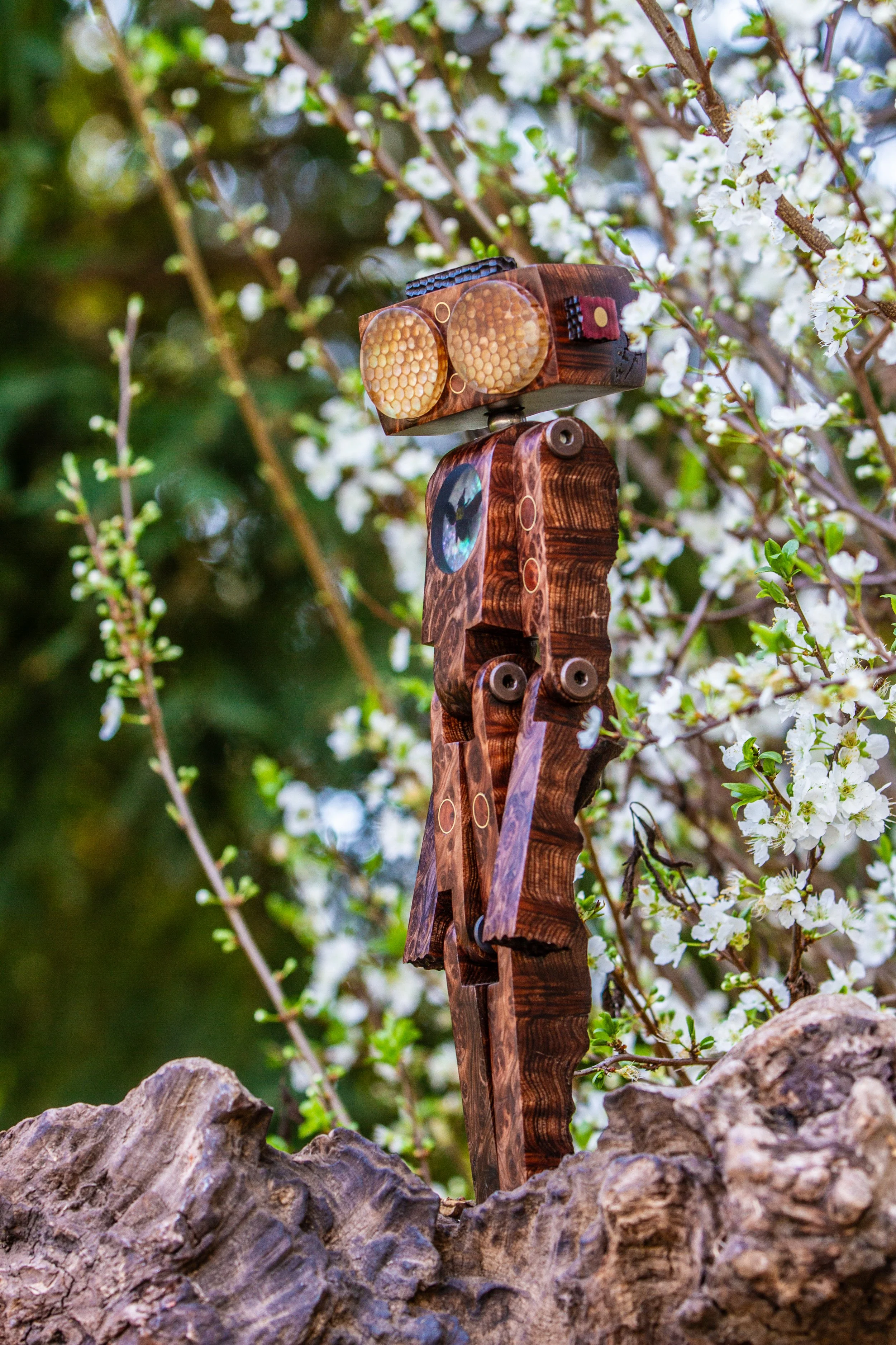 StickerLauris Nobilis-6.jpeg