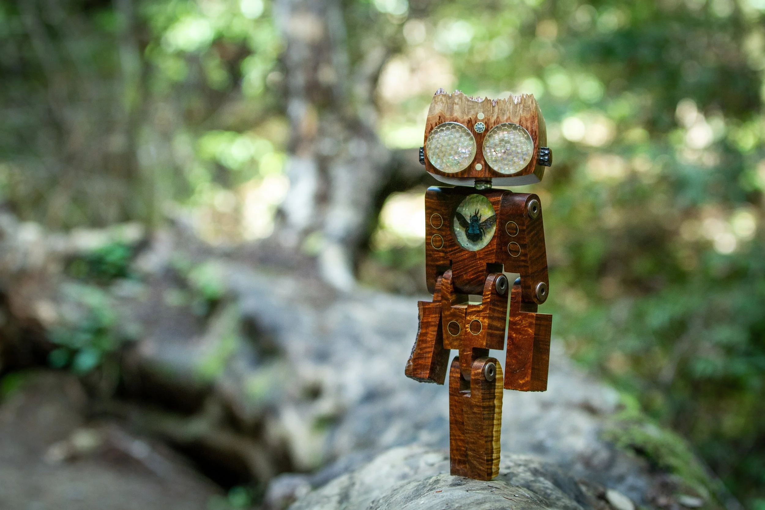 StickerLauris Nobilis-11.jpeg