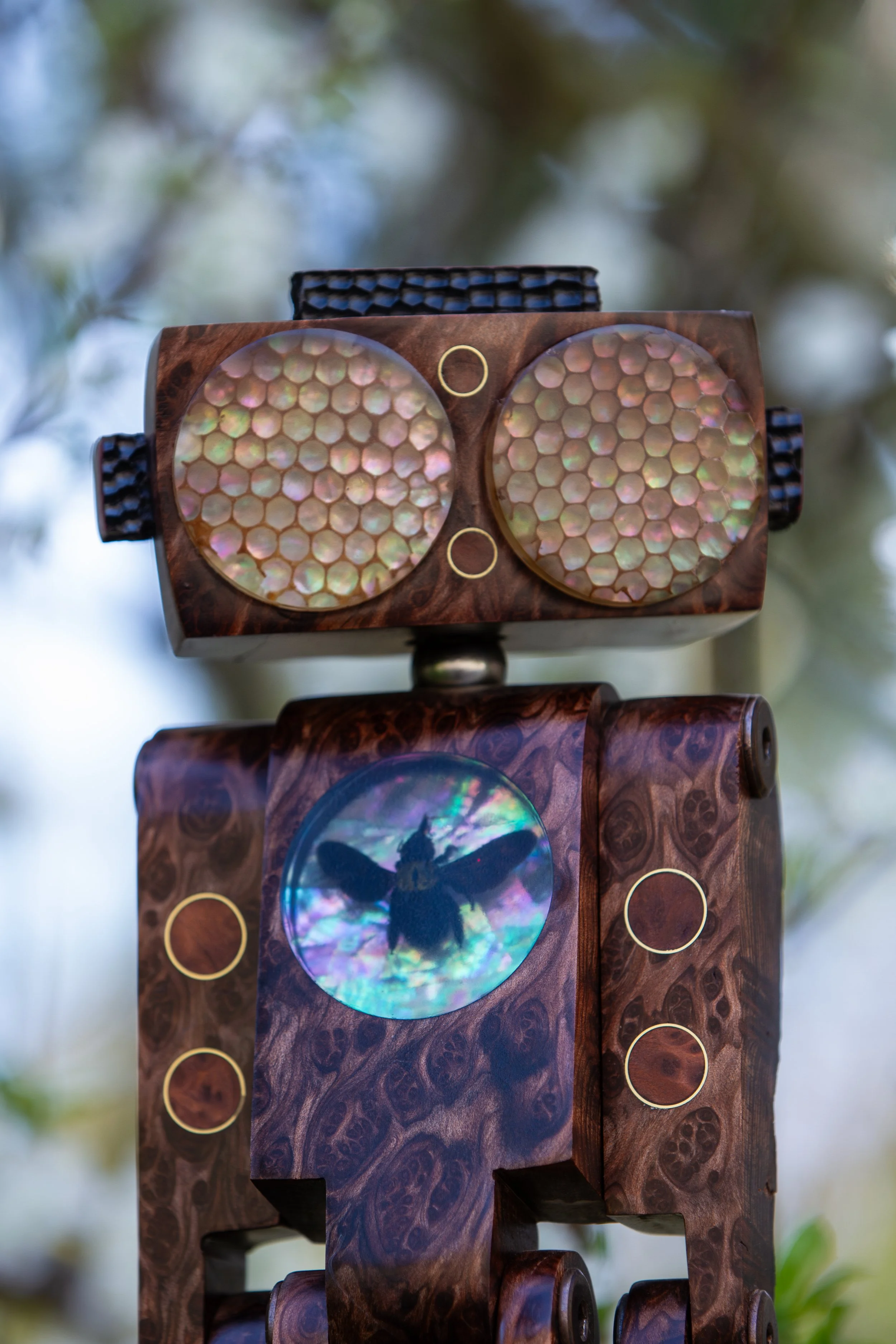 StickerLauris Nobilis-7.jpeg