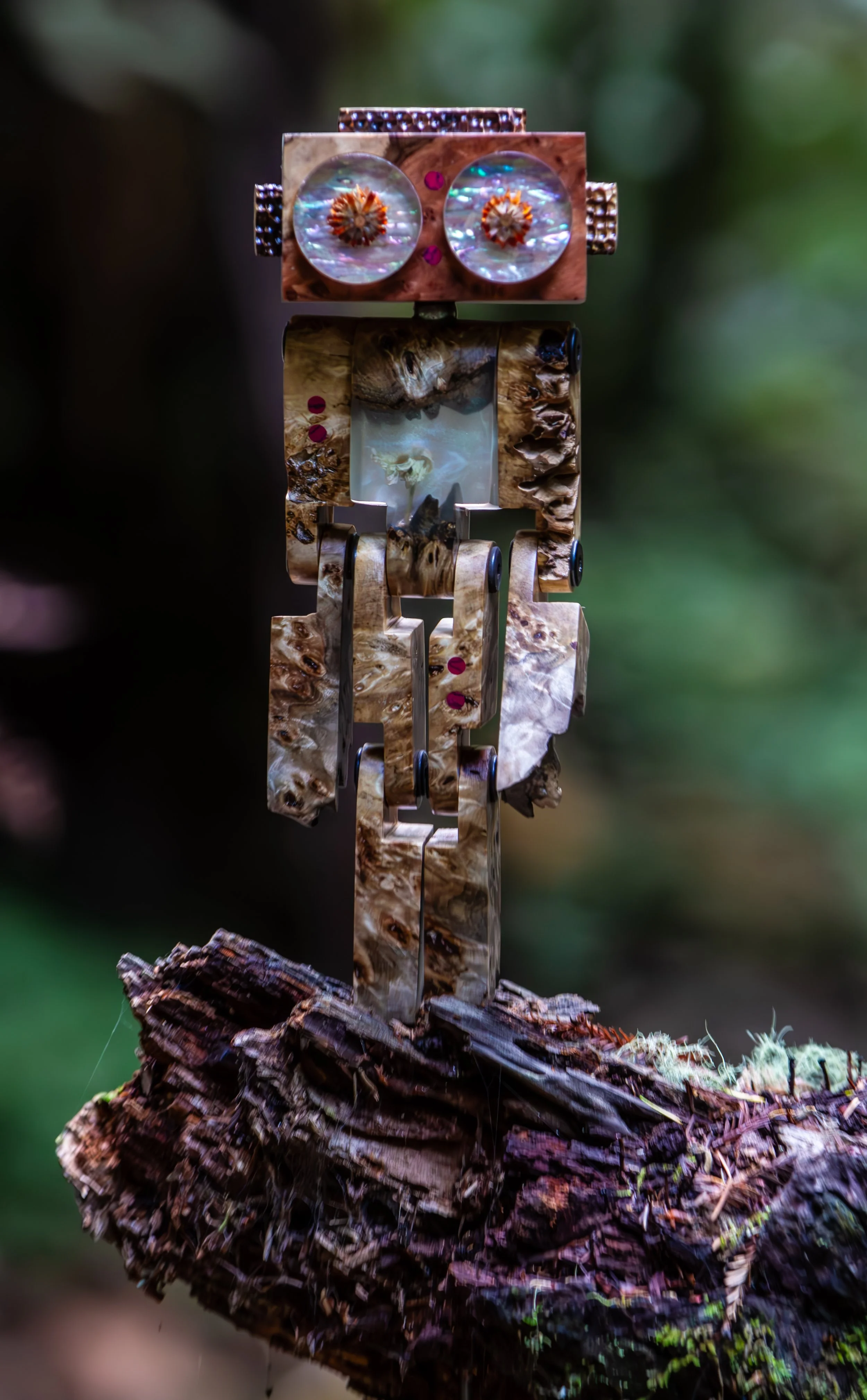 StickerLauris Nobilis-28.jpg