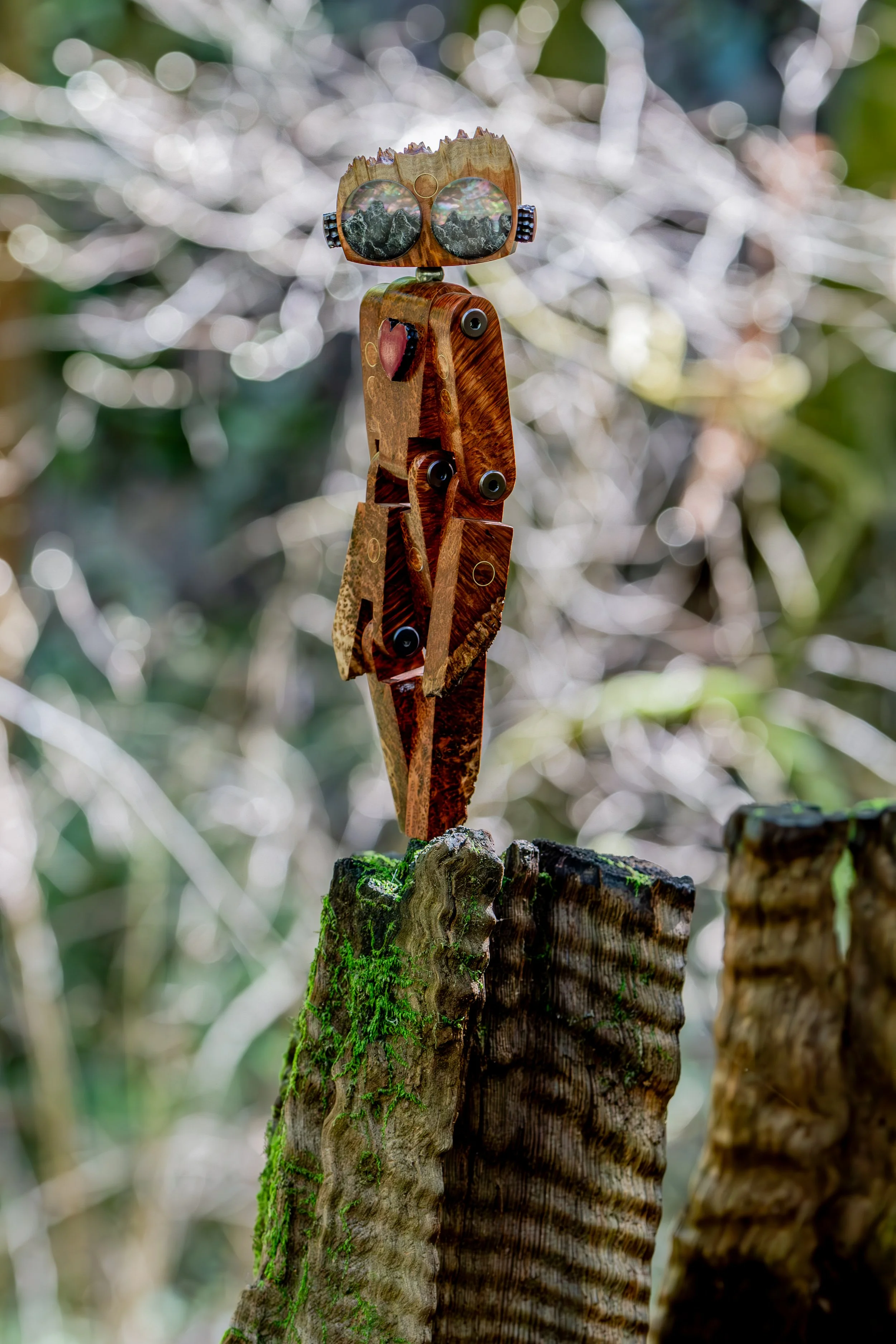 StickerLauris Nobilis.jpeg