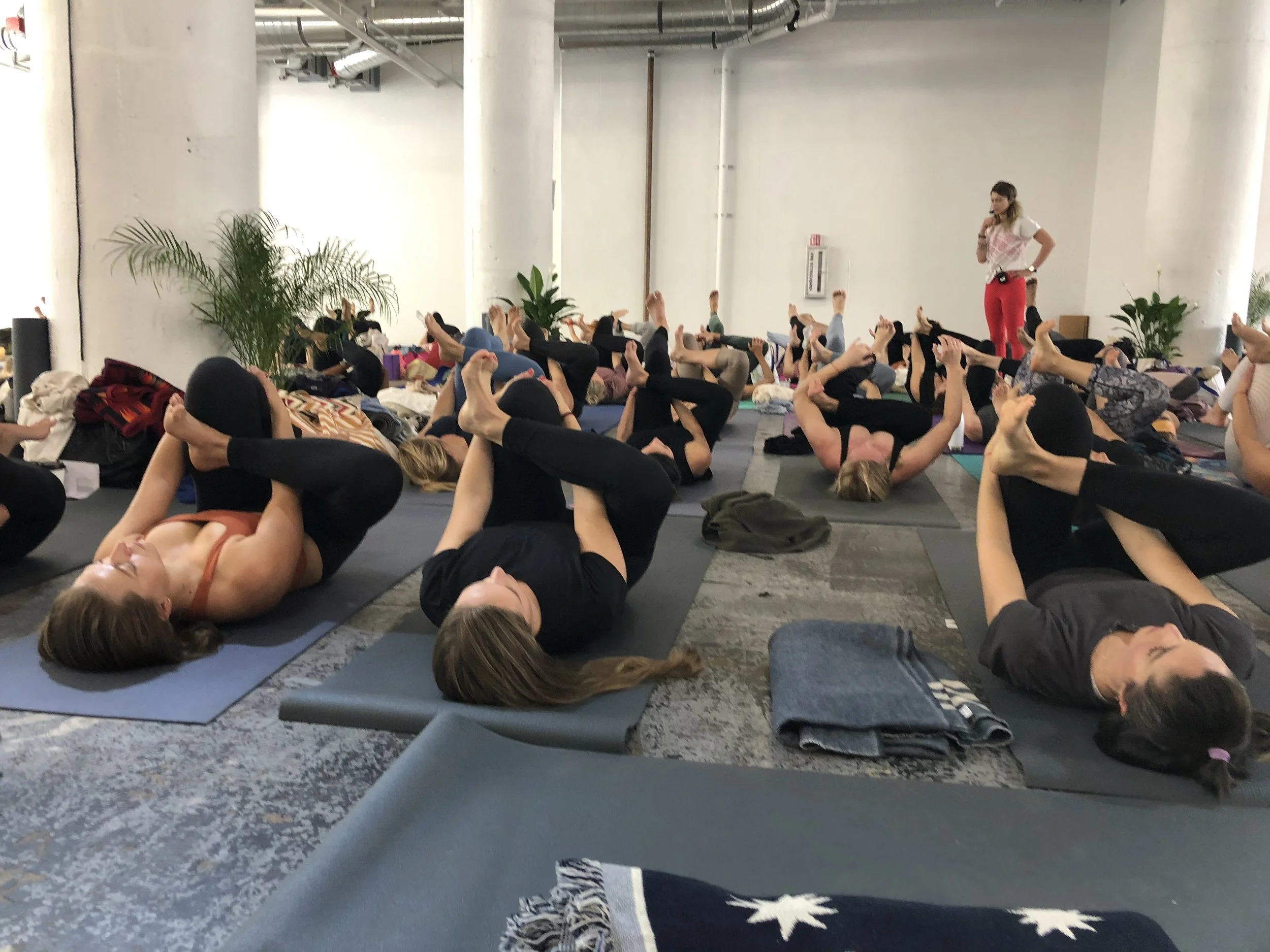 Photo Feb 29 2020, 11 14 24 AM.jpg