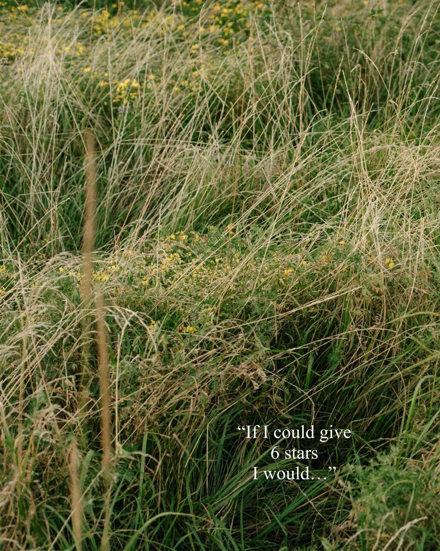 I aim to make couples feel natural and relaxed, whether we&rsquo;re wandering through the Beaver Valley or somewhere meaningful to them

A love note from Camila: 
&ldquo;Hands down the best photographer I have ever worked with to date. I was absolute