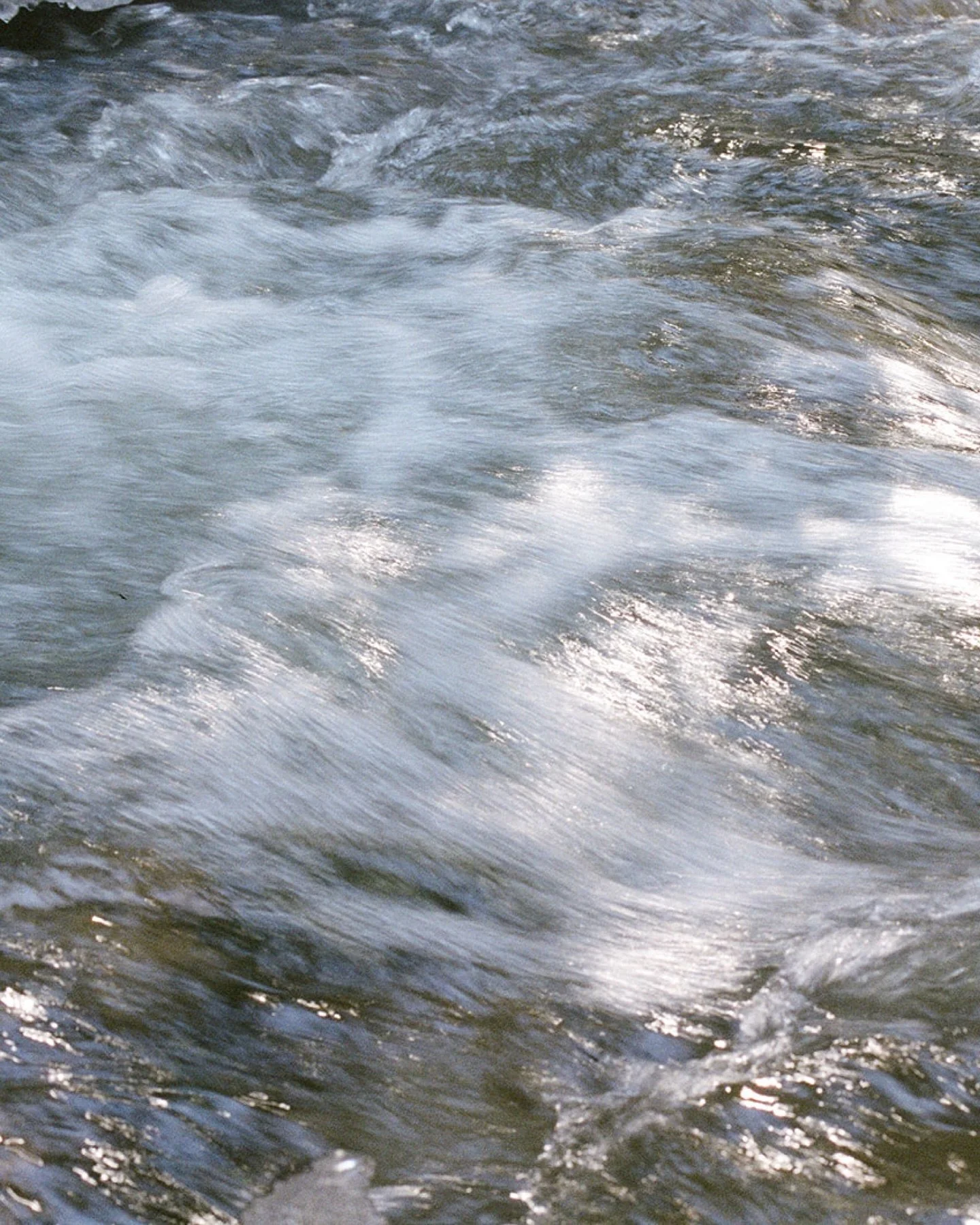 35mm film photography in nature.
Nature has always been where I return to.
The light changes slower. The air feels honest.
Film lets me move at that pace. Less control. More presence.
A photograph is never just what it looks like.
It&rsquo;s where yo