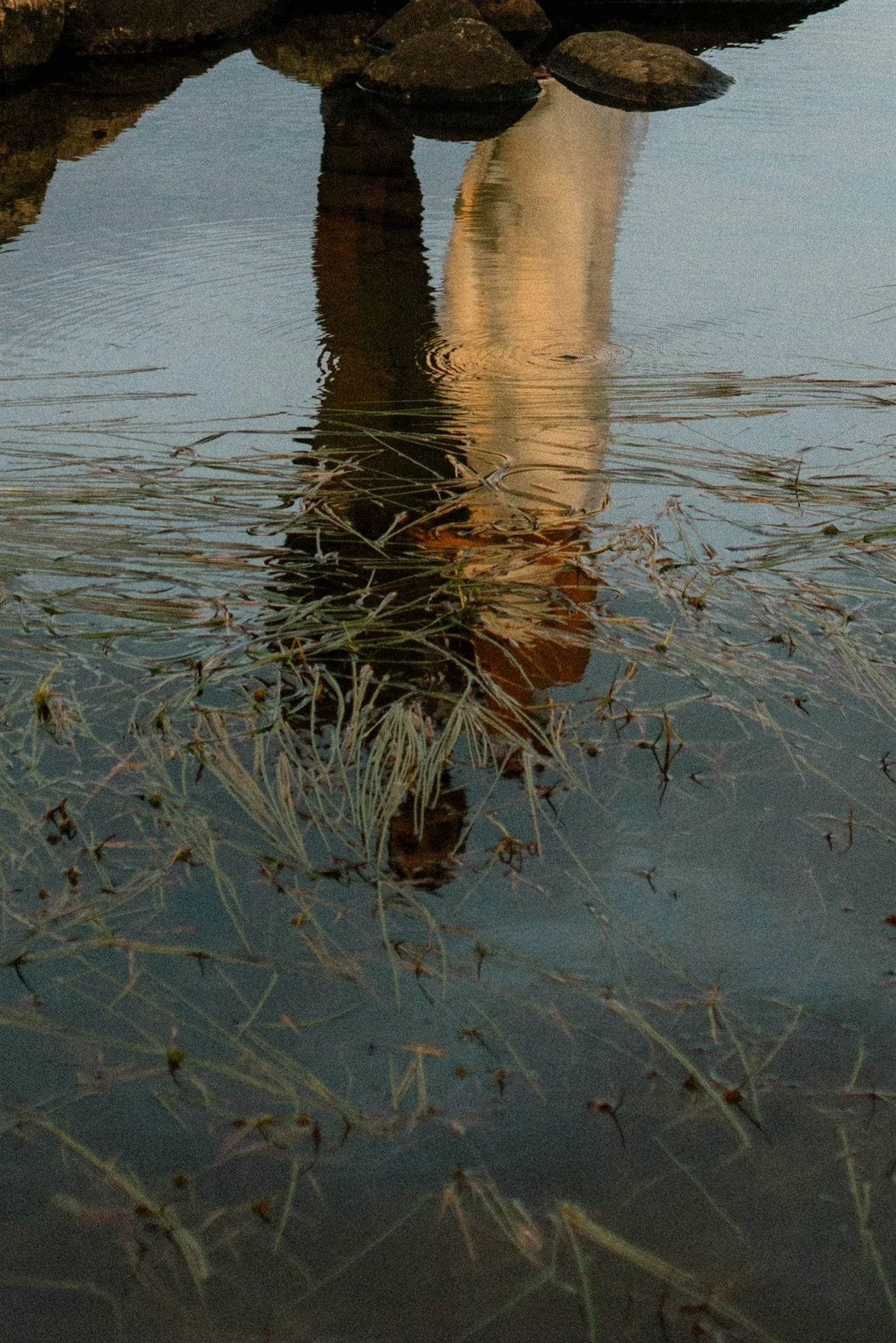 Reflection of couple in reedy lake at Northridge Inn wedding at sunset