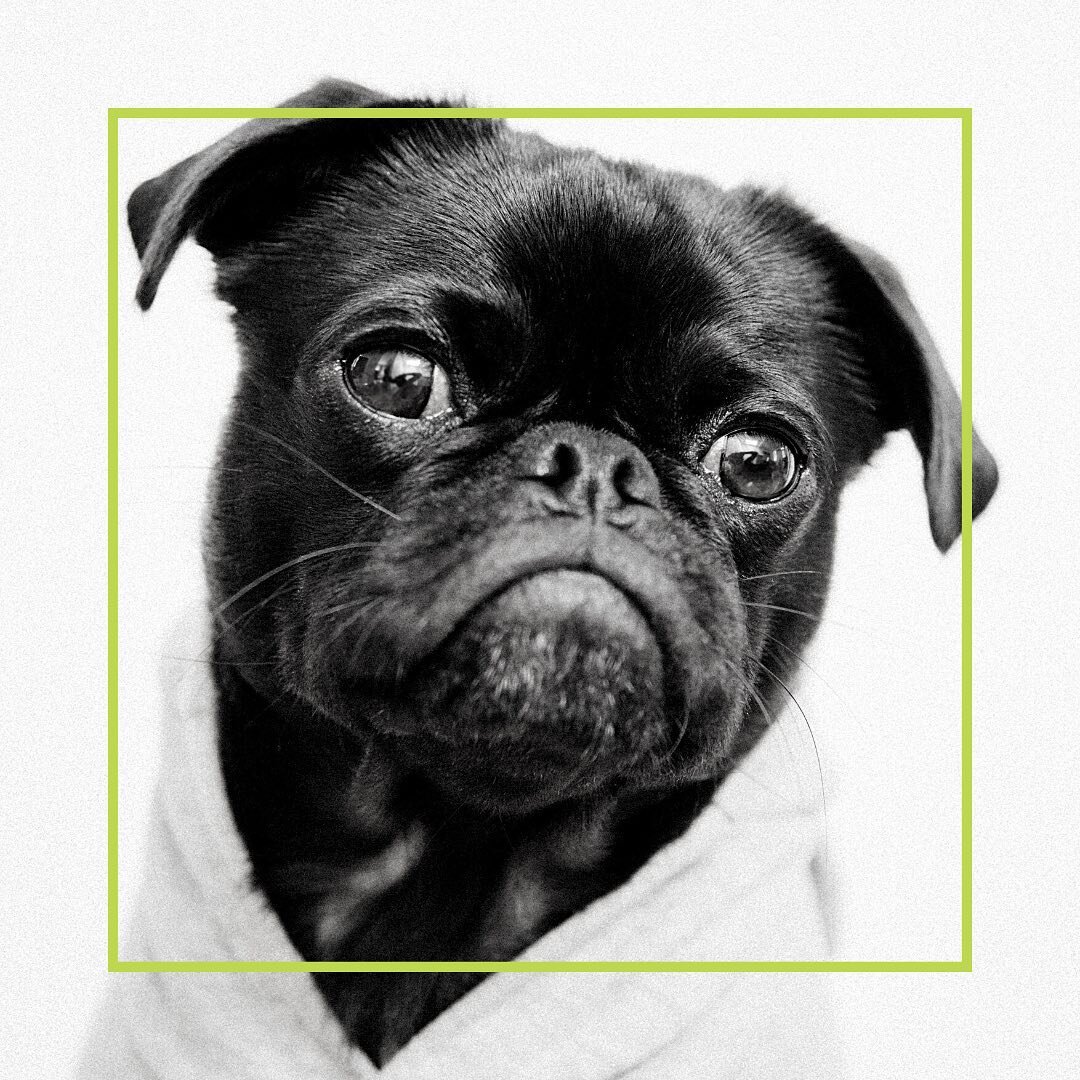 There are exactly 30 more days until Fall... and sweater weather! 🍁🍂 #tristarteam #loumtaylor #tristareastandwest #businessmanagement #businessmanager #therightpeople #therightplace #therightplan