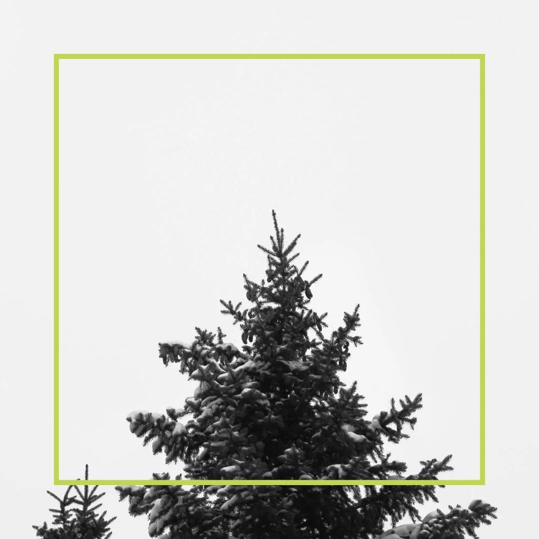 2 more days! 🎅🎄#tristarteam #loumtaylor #tristareastandwest #businessmanagement #businessmanager therightpeople therightplan therightplace loutaylor