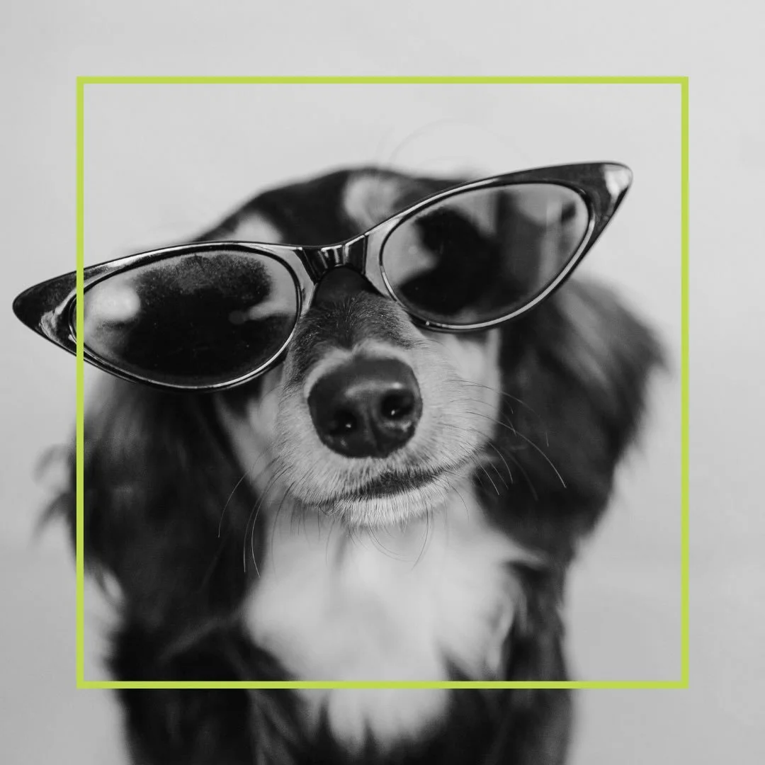 This is the energy for the week #tristarteam #loumtaylor #tristareastandwest #businessmanagement #businessmanager therightpeople therightplan therightplace loutaylor