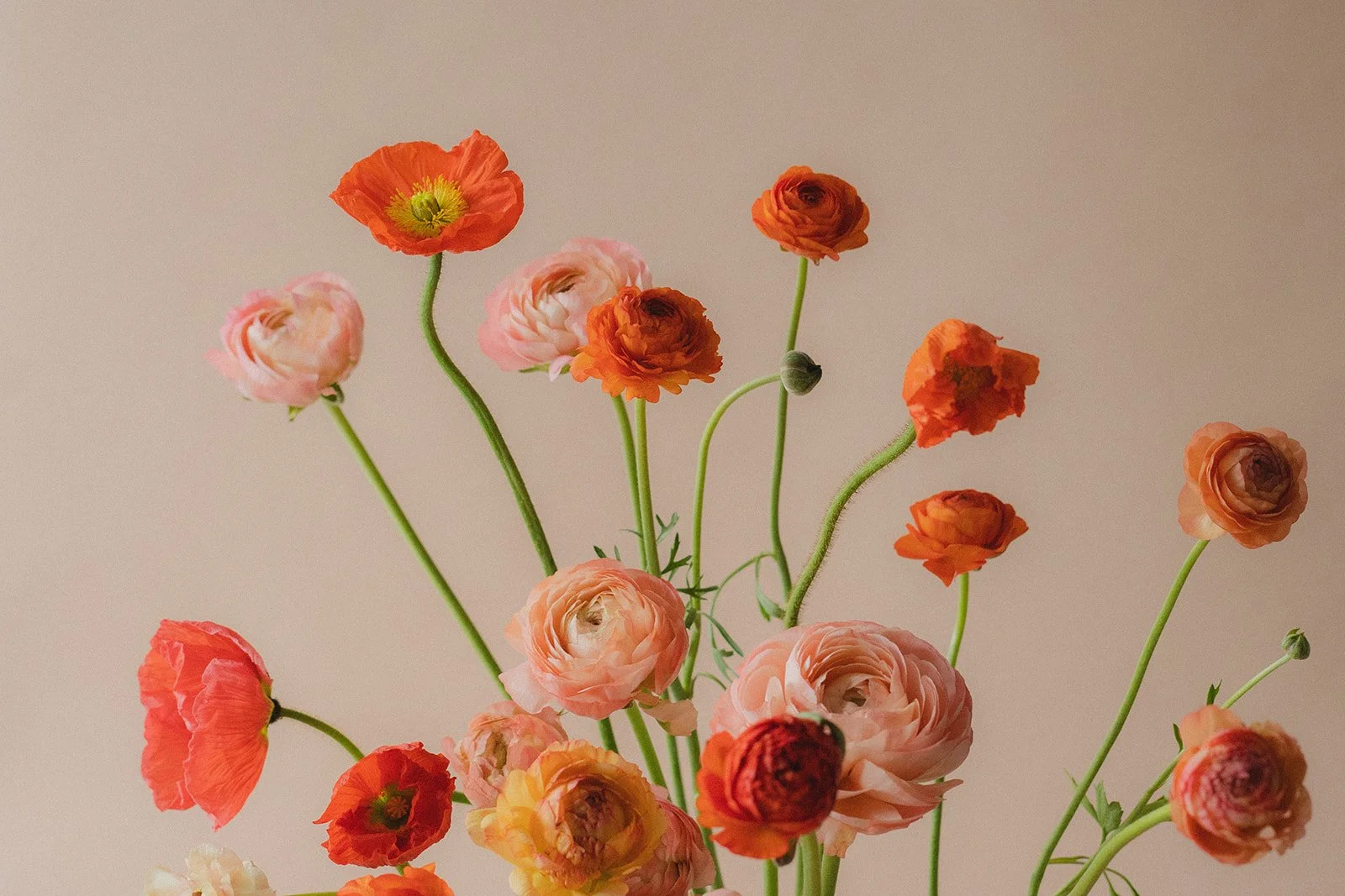 seasonal wedding flowers grown on Vancouver Island