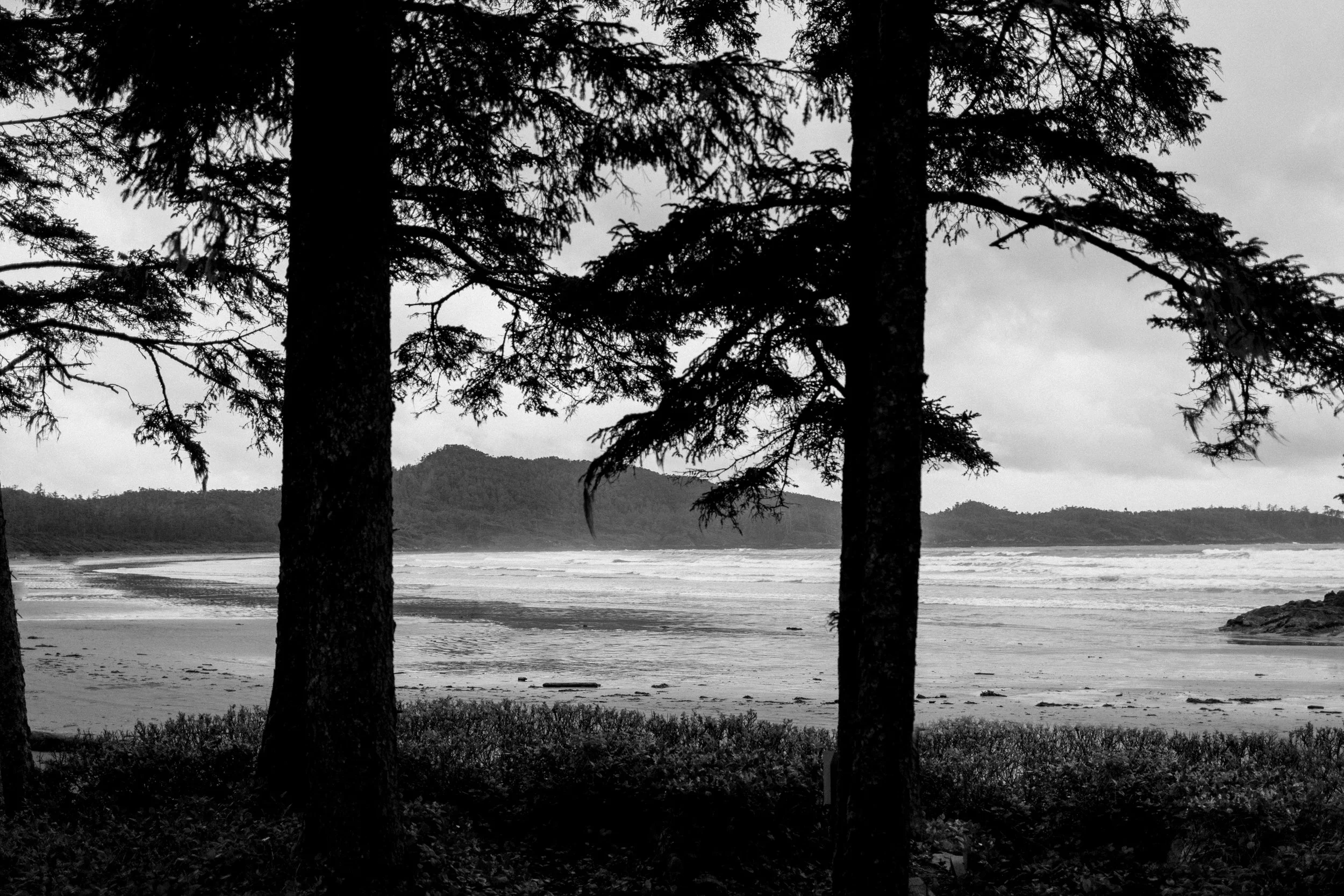 Long Beach Lodge Resort wedding ceremony Cox Bay Tofino