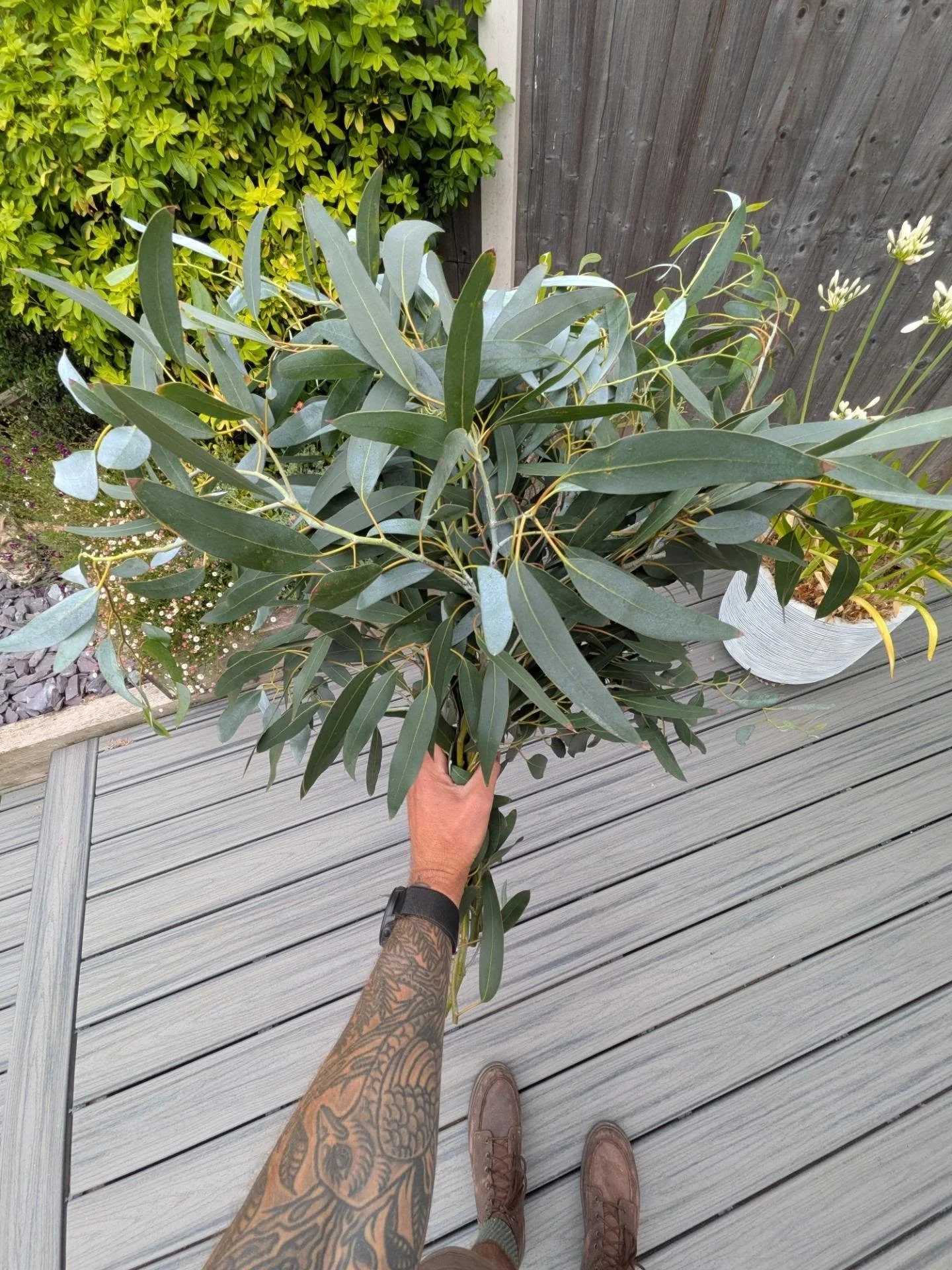 Fresh foliage doesn't have to come from a florist. 🌿

Eucalyptus and Cotinus cuttings make beautiful, natural displays indoors. Simply take a few healthy stems while pruning, strip the lower leaves, and pop them into a vase of fresh water.

Eucalypt