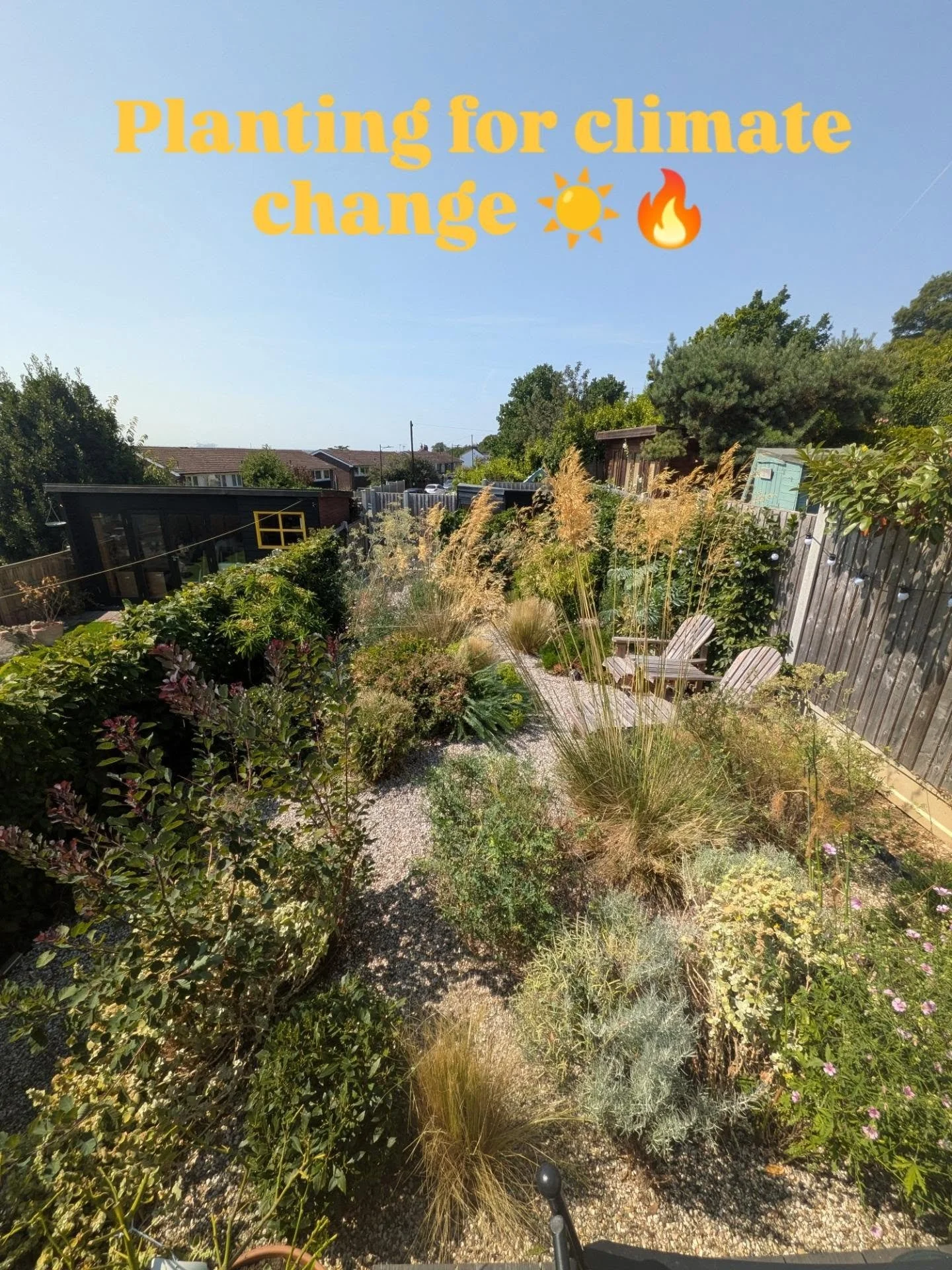A garden designed for a changing climate 🌿☀️

This gravel garden is all about working with nature, not against it. Gravel means excellent drainage, less water loss and no thirsty lawn ,while drought tolerant, resilient planting keeps the garden full