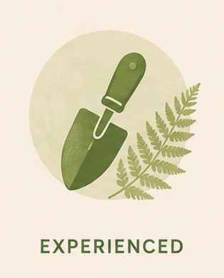 image 5.png
