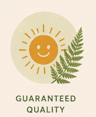 image 2 .png