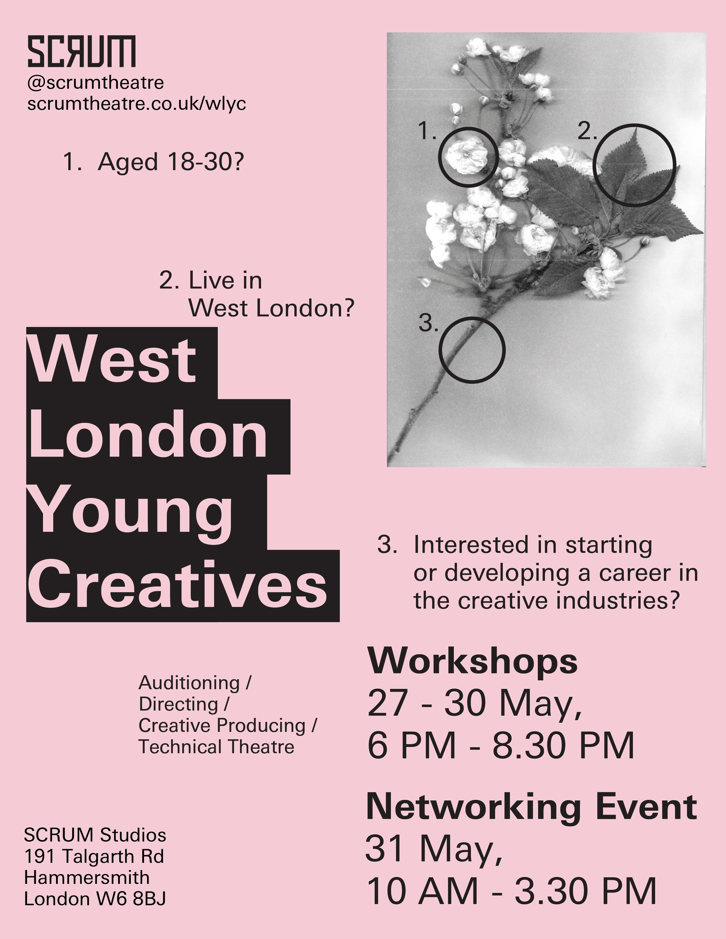 West London Young Creatives: May 2025. Light pink backdrop. Scan of some flowers (“artistic”). Workshops and a Networking Event for 18 to 30 years in West London.