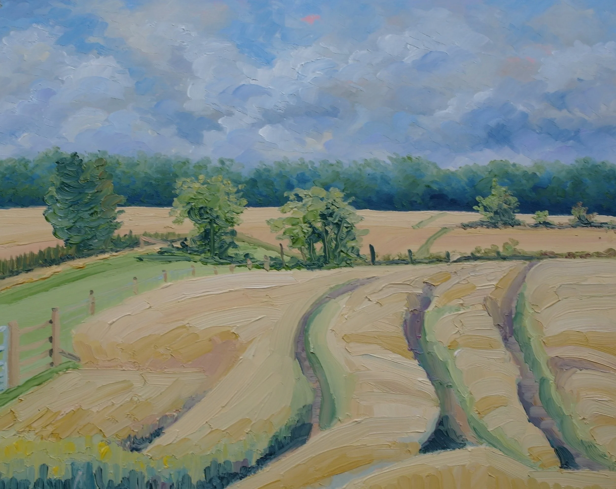 Golden Wheat Fields 2.     Oil on Board.  
    40cm x 30cm         (July 2024)