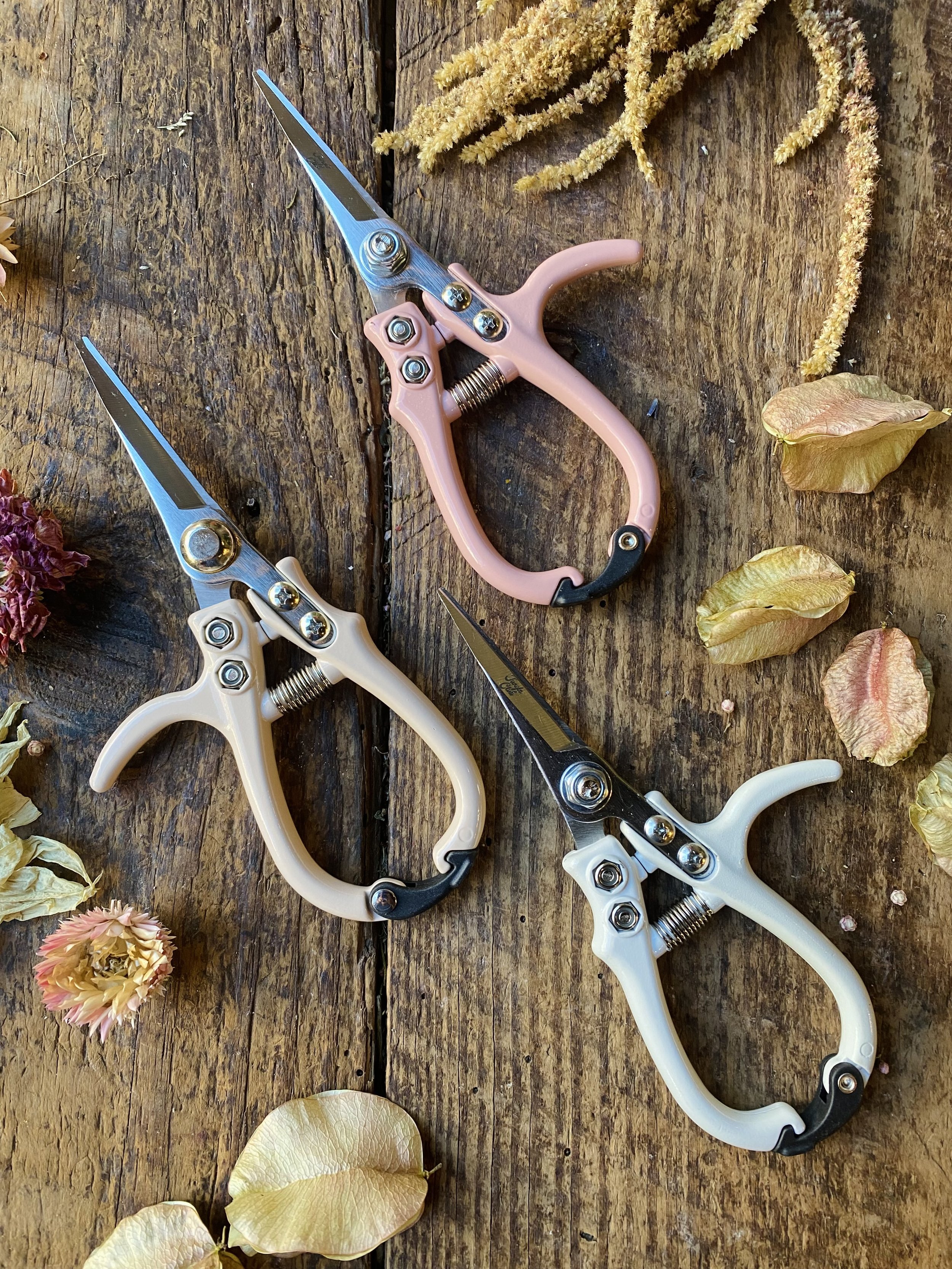 Floral Clipper