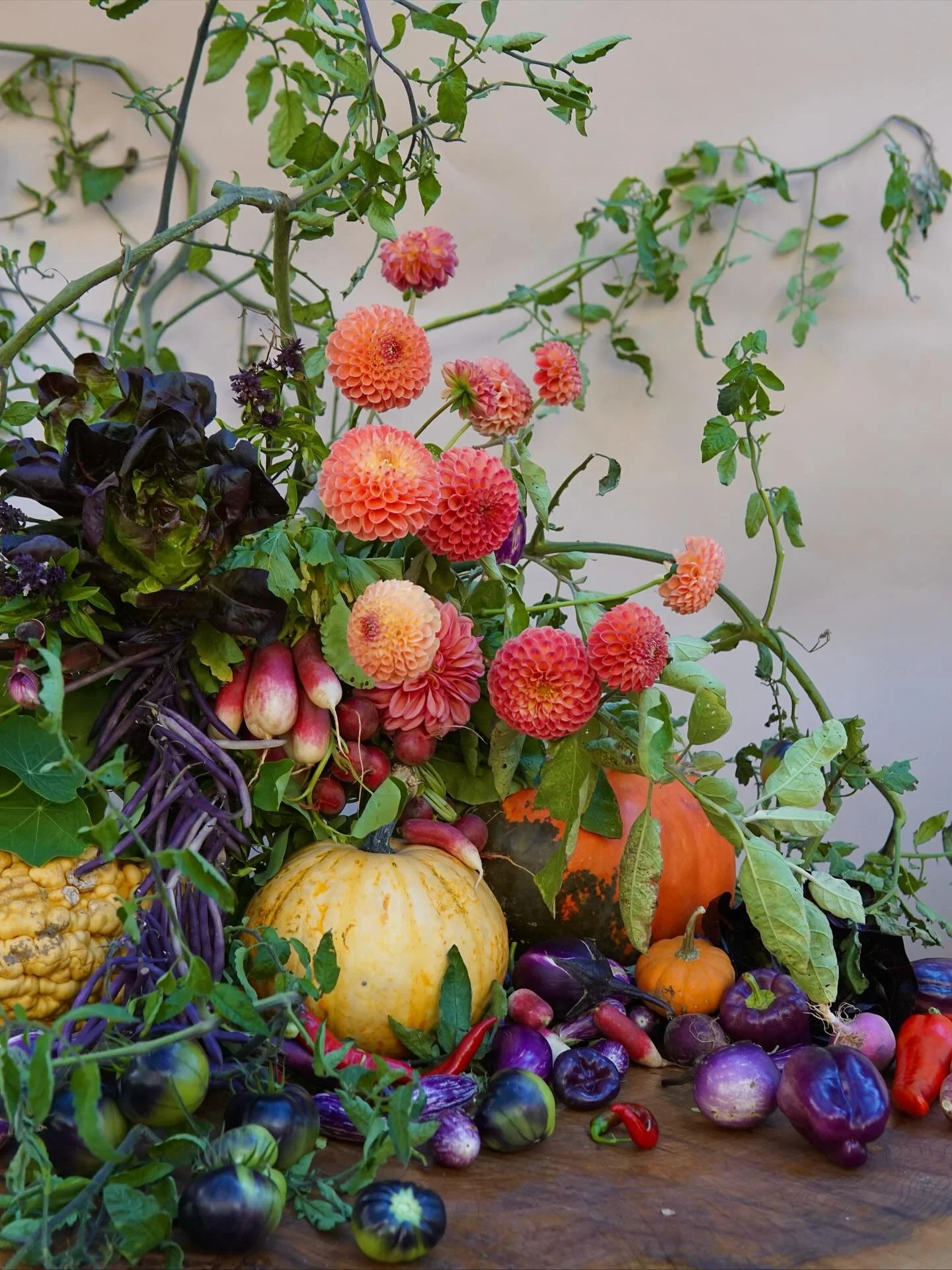 🍂 Enjoying the bountiful harvest from all our local farmers- @diamondhillfarm. @blooms.jenny and @jaemorfarms. Rich, autumnal tones setting the mood over here at our studio. And yes, we will be eating this. 🍂
Tablescape by @flowerboy_bond & @m
