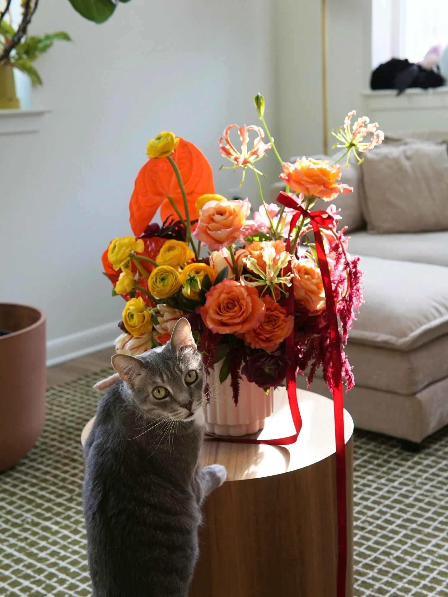 Kitty is a paid actor atp (compensated in treats and kisses hehe) 🎀

#atlantaflorist #flowershop #floraldesign