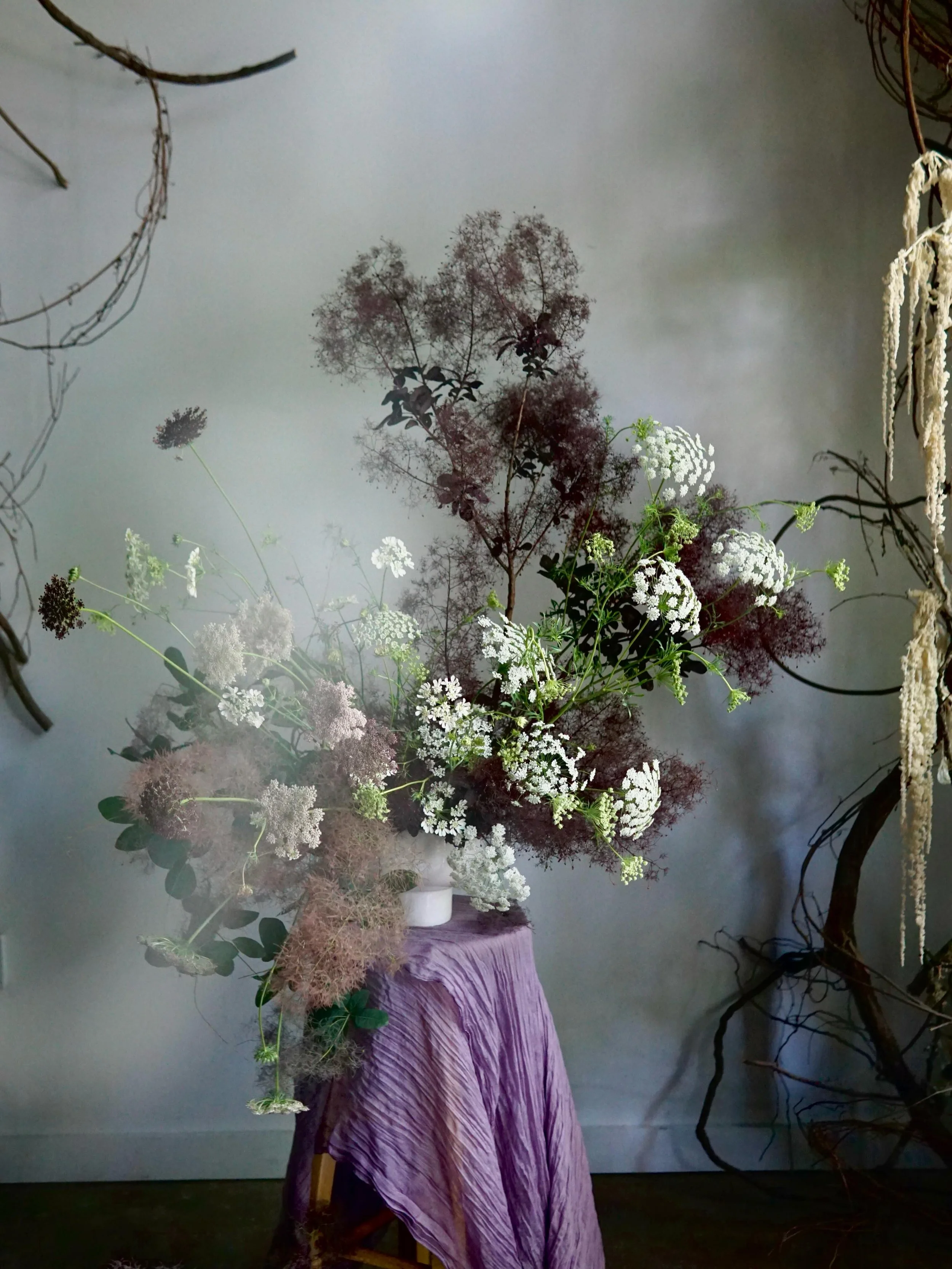 More smokebush drama 

#flowers #flowerstagram #floraldesign #flowersofinstagram #flowershop