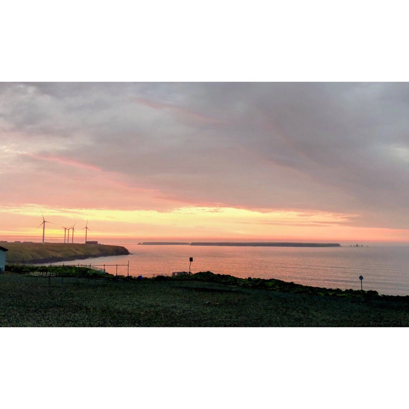 𝐓𝐨𝐝𝐚𝐲 𝐘𝐮𝐫𝐮𝐫𝐢
2025/06/03

Nemuro, Hokkaido, Japan
Photo by Mori Yasuko / Fisherman
Directed by Okada Atsushi

新刊『ユルリ島の馬』
発売：2025年４月25日
著者：岡田敦
発行：青幻舎

JRA賞馬事文化賞受賞
書籍『エピタフ 幻の島、ユルリの光跡』
刊行：2023年６月
著者：岡田敦
発行：インプレス

著者サイン入り発売中！
オンラインショップ「ユルリ島の馬 B