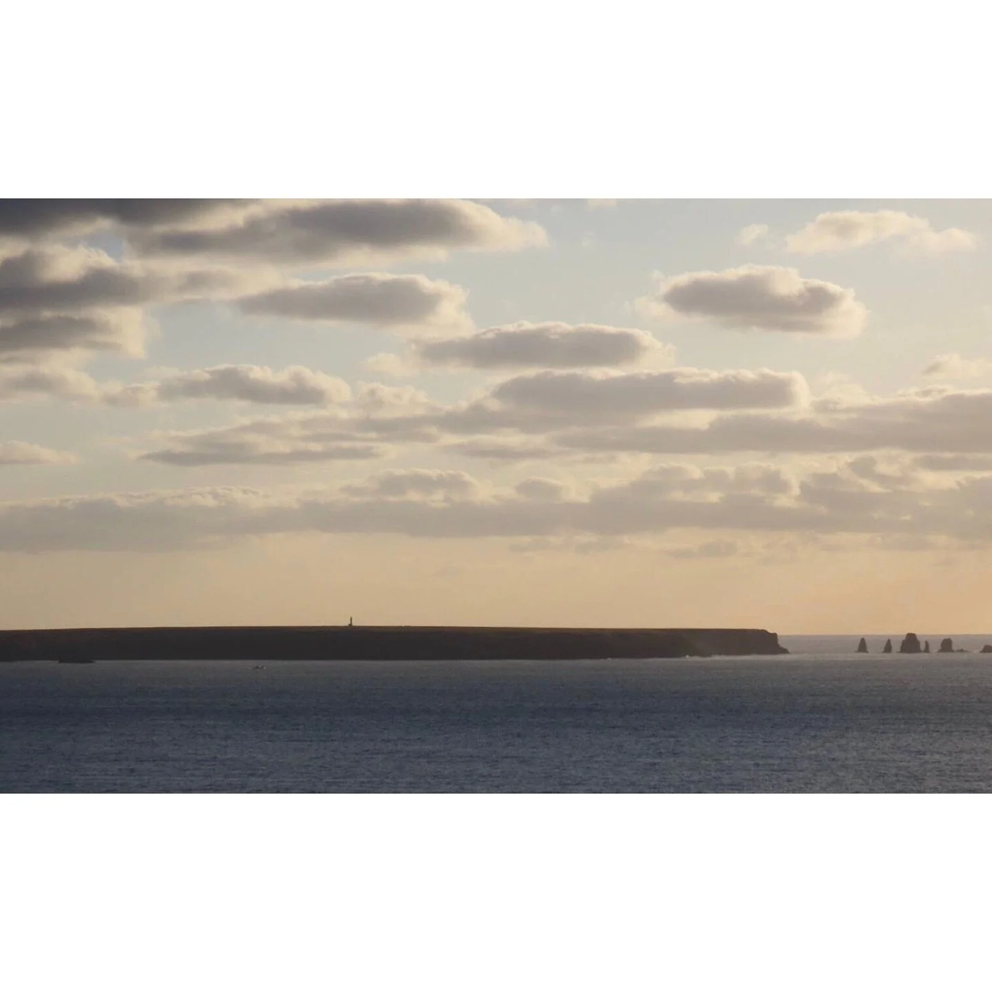 𝐓𝐨𝐝𝐚𝐲 𝐘𝐮𝐫𝐮𝐫𝐢
2025/10/14

Nemuro, Hokkaido, Japan
Photo by Mori Yasuko / Fisherman
Directed by Okada Atsushi

神田日勝記念美術館
コレクション展Ⅱ
2025年10月３日－11月30日
出展作品：ユルリ島の馬

新刊『ユルリ島の馬』
刊行：2025年
著者：岡田敦
発行：青幻舎

JRA賞馬事文化賞受賞作
書籍『エピタフ 幻の島、ユルリの光跡』
刊行：2023年
著者：