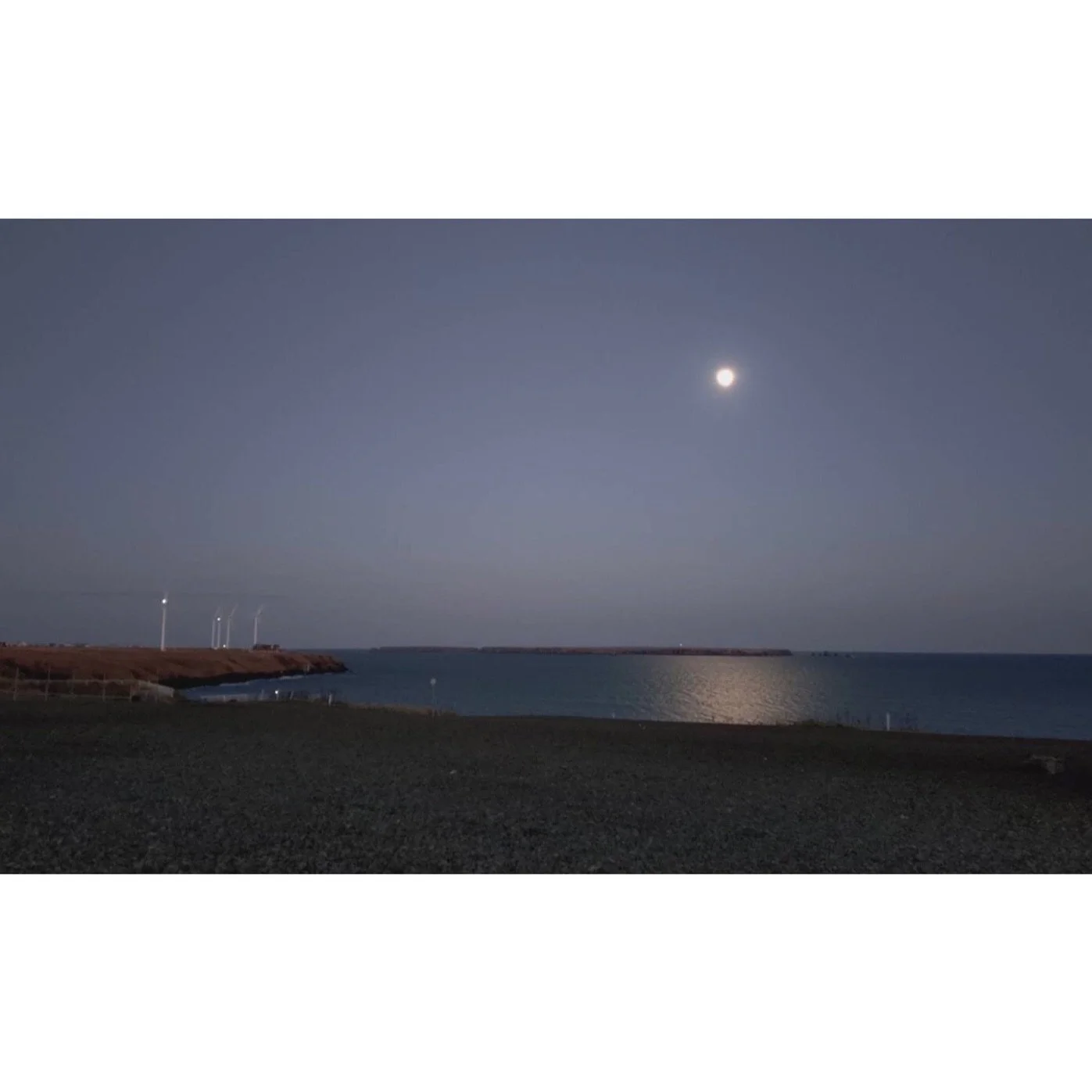 𝐓𝐨𝐝𝐚𝐲 𝐘𝐮𝐫𝐮𝐫𝐢
2025/11/05

Nemuro, Hokkaido, Japan
Photo by Mori Yasuko / Fisherman
Directed by Okada Atsushi

◇神田日勝記念美術館
コレクション展Ⅱ
2025年10月３日－11月30日
出展作品：ユルリ島の馬

◇新刊『ユルリ島の馬』
刊行：2025年
著者：岡田敦
発行：青幻舎

◇JRA賞馬事文化賞受賞作
書籍『エピタフ 幻の島、ユルリの光跡』
刊行：2023年
