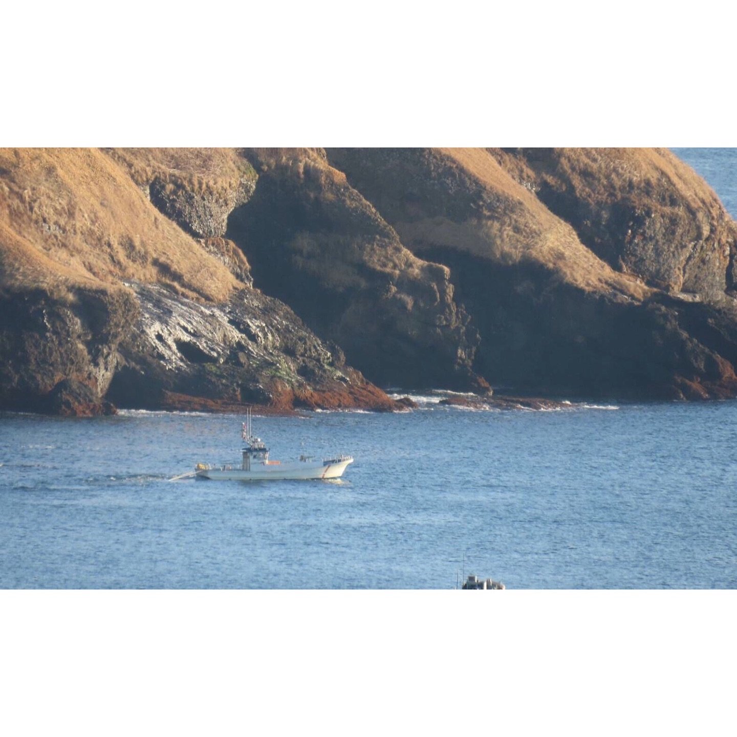 𝐓𝐨𝐝𝐚𝐲 𝐘𝐮𝐫𝐮𝐫𝐢
2025/11/15

Nemuro, Hokkaido, Japan
Photo by Mori Yasuko / Fisherman
Directed by Okada Atsushi

◇神田日勝記念美術館
コレクション展Ⅱ
2025年10月３日－11月30日
出展作品：ユルリ島の馬

◇新刊『ユルリ島の馬』
刊行：2025年
著者：岡田敦
発行：青幻舎

◇JRA賞馬事文化賞受賞作
書籍『エピタフ 幻の島、ユルリの光跡』
刊行：2023年
