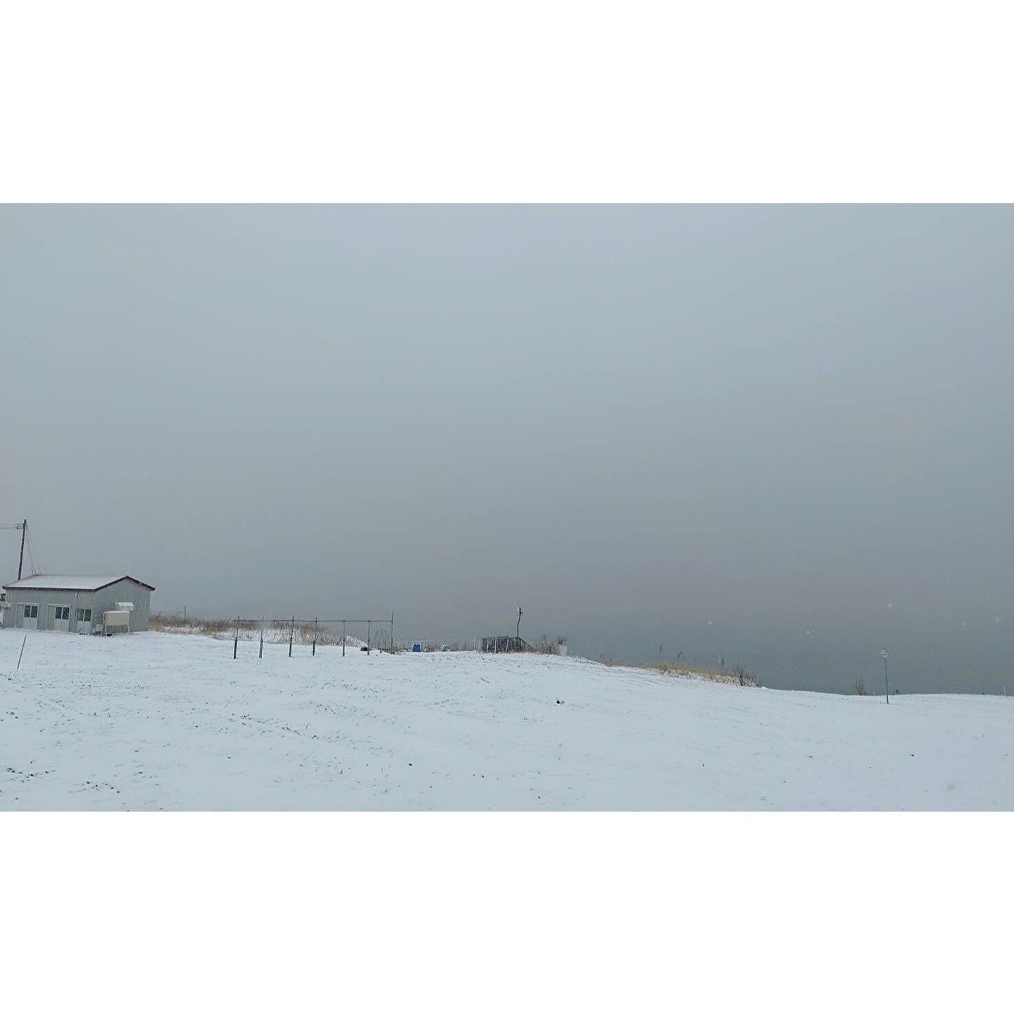 𝐓𝐨𝐝𝐚𝐲 𝐘𝐮𝐫𝐮𝐫𝐢
2025/12/04

Nemuro, Hokkaido, Japan
Photo by Mori Yasuko / Fisherman
Directed by Okada Atsushi

◇神田日勝記念美術館
コレクション展Ⅱ
2025年10月３日－11月30日
出展作品：ユルリ島の馬

◇新刊『ユルリ島の馬』
刊行：2025年
著者：岡田敦
発行：青幻舎

◇JRA賞馬事文化賞受賞作
書籍『エピタフ 幻の島、ユルリの光跡』
刊行：2023年
