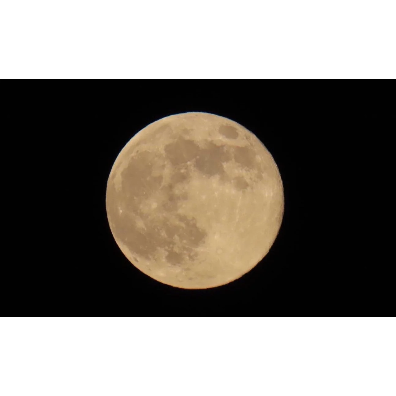 𝐓𝐨𝐝𝐚𝐲 𝐘𝐮𝐫𝐮𝐫𝐢
2025/11/05

Nemuro, Hokkaido, Japan
Photo by Mori Yasuko / Fisherman
Directed by Okada Atsushi

◇神田日勝記念美術館
コレクション展Ⅱ
2025年10月３日－11月30日
出展作品：ユルリ島の馬

◇新刊『ユルリ島の馬』
刊行：2025年
著者：岡田敦
発行：青幻舎

◇JRA賞馬事文化賞受賞作
書籍『エピタフ 幻の島、ユルリの光跡』
刊行：2023年
