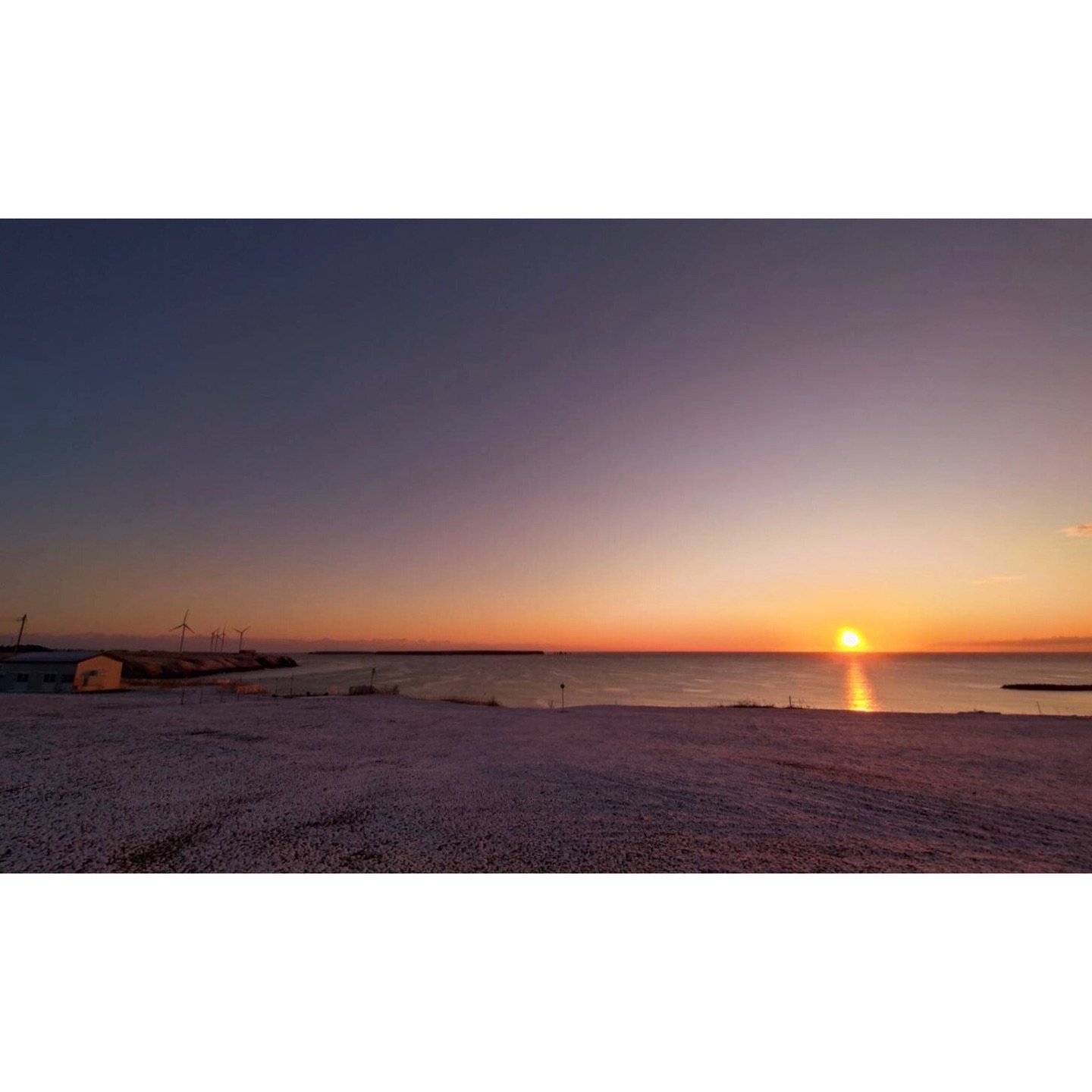 𝐓𝐨𝐝𝐚𝐲 𝐘𝐮𝐫𝐮𝐫𝐢
2025/11/09

Nemuro, Hokkaido, Japan
Photo by Mori Yasuko / Fisherman
Directed by Okada Atsushi

◇神田日勝記念美術館
コレクション展Ⅱ
2025年10月３日－11月30日
出展作品：ユルリ島の馬

◇新刊『ユルリ島の馬』
刊行：2025年
著者：岡田敦
発行：青幻舎

◇JRA賞馬事文化賞受賞作
書籍『エピタフ 幻の島、ユルリの光跡』
刊行：2023年

