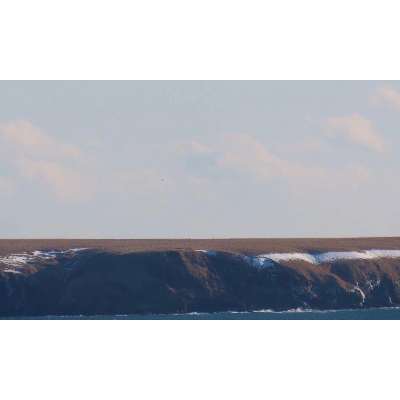 𝐓𝐨𝐝𝐚𝐲 𝐘𝐮𝐫𝐮𝐫𝐢
2025/11/18

Nemuro, Hokkaido, Japan
Photo by Mori Yasuko / Fisherman
Directed by Okada Atsushi

◇神田日勝記念美術館
コレクション展Ⅱ
2025年10月３日－11月30日
出展作品：ユルリ島の馬

◇新刊『ユルリ島の馬』
刊行：2025年
著者：岡田敦
発行：青幻舎

◇JRA賞馬事文化賞受賞作
書籍『エピタフ 幻の島、ユルリの光跡』
刊行：2023年
