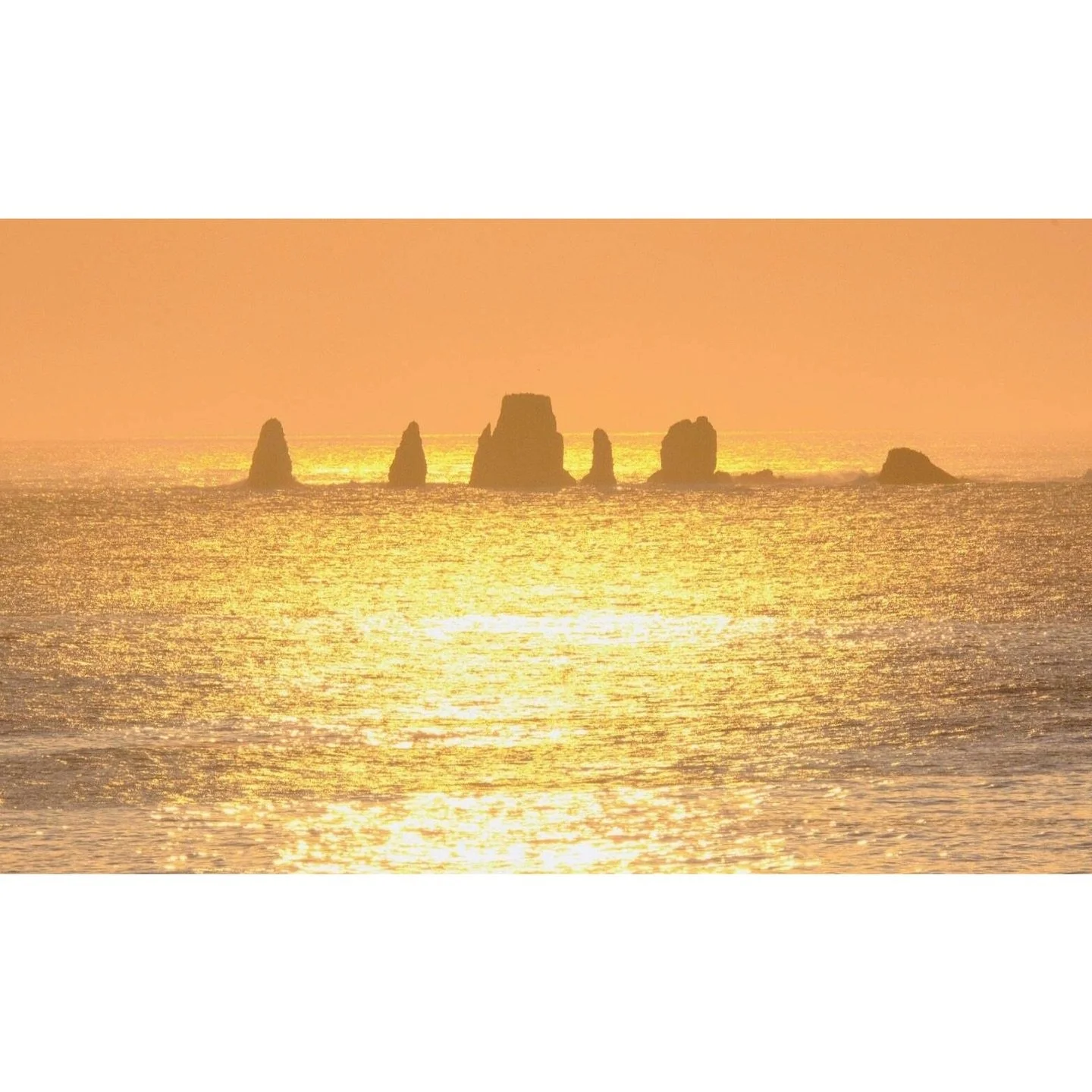 𝐓𝐨𝐝𝐚𝐲 𝐘𝐮𝐫𝐮𝐫𝐢
2026/03/18

Nemuro, Hokkaido, Japan
Photo by Mori Yasuko / Fisherman
Directed by Okada Atsushi

◇ 写真展「ユルリ島の馬」
9月18日（金）- 9月23日（水）
富士フイルムフォトサロン 札幌

10月30日（金）- 11月12日（木）
富士フイルムフォトサロン 大阪

&ndash;

◇ JRA賞馬事文化賞受賞作
書籍『エピタフ 幻の島、ユルリの光跡