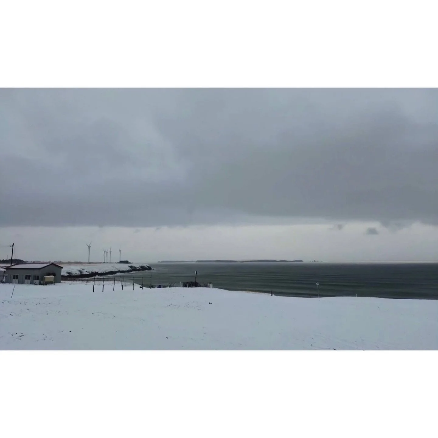 𝐓𝐨𝐝𝐚𝐲 𝐘𝐮𝐫𝐮𝐫𝐢
2026/04/03

Nemuro, Hokkaido, Japan
Photo by Mori Yasuko / Fisherman
Directed by Okada Atsushi

◇ 写真展「ユルリ島の馬」
9月18日（金）- 9月23日（水）
富士フイルムフォトサロン 札幌

10月30日（金）- 11月12日（木）
富士フイルムフォトサロン 大阪

&ndash;

◇ JRA賞馬事文化賞受賞作
書籍『エピタフ 幻の島、ユルリの光跡