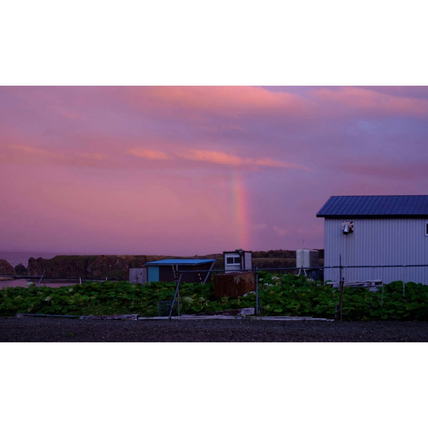 𝐓𝐨𝐝𝐚𝐲 𝐘𝐮𝐫𝐮𝐫𝐢
2026/05/29

Nemuro, Hokkaido, Japan
Photo by Mori Yasuko / Fisherman
Directed by Okada Atsushi

◇ 写真展「ユルリ島の馬」
9月18日（金）- 9月23日（水）
富士フイルムフォトサロン 札幌

10月30日（金）- 11月12日（木）
富士フイルムフォトサロン 大阪

&ndash;

◇ JRA賞馬事文化賞受賞作
書籍『エピタフ 幻の島、ユルリの光跡