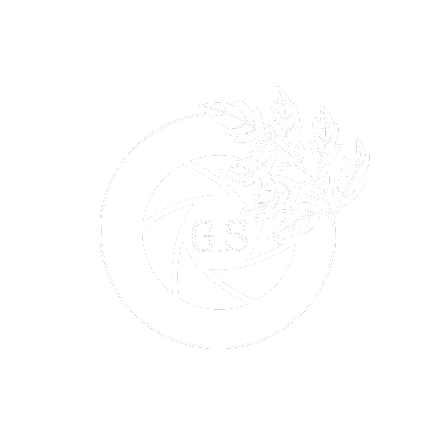 Grass Shoots Photography