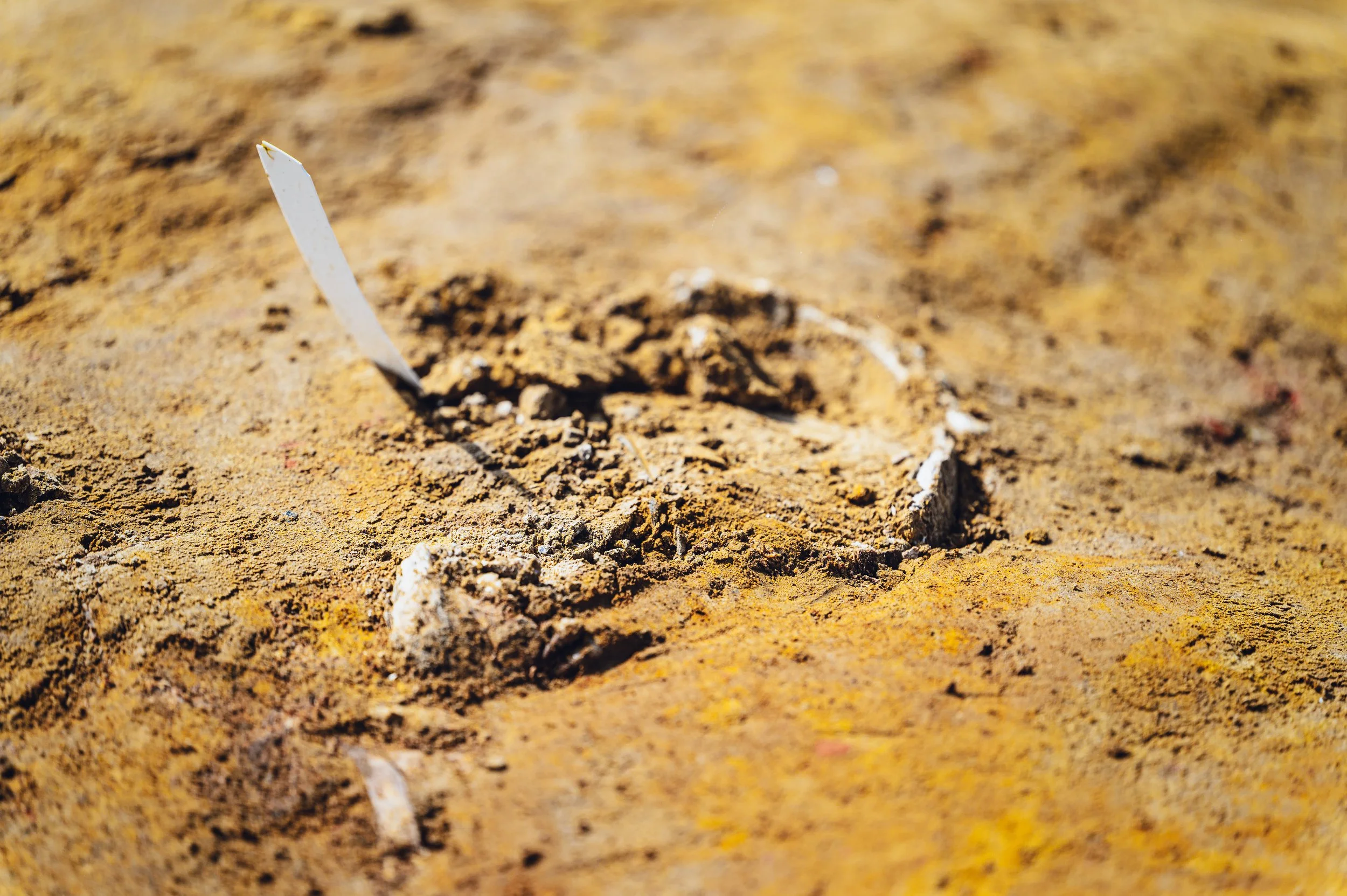 flitsmedia.com (21 van 41).jpg