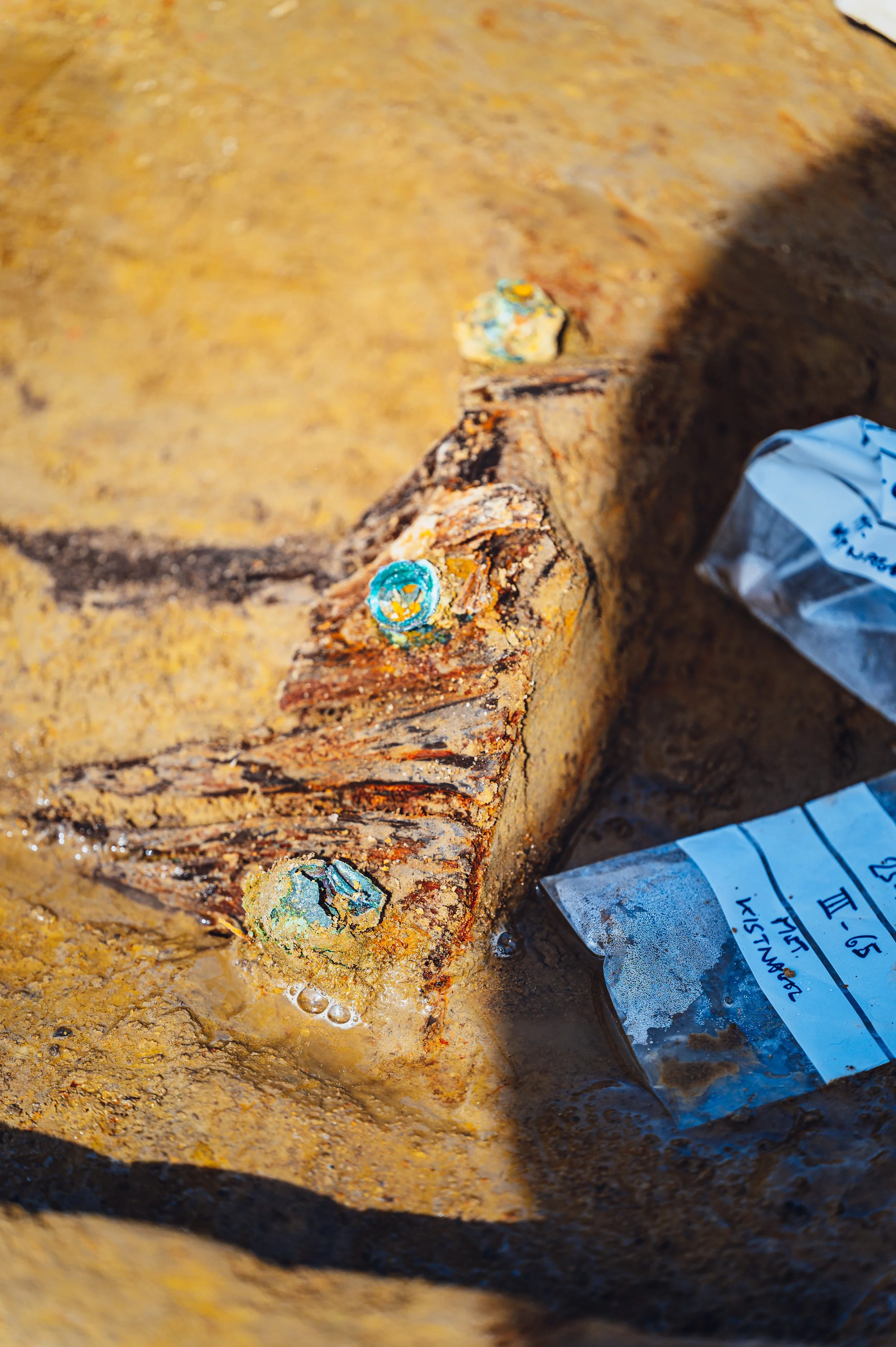 flitsmedia.com (13 van 41).jpg