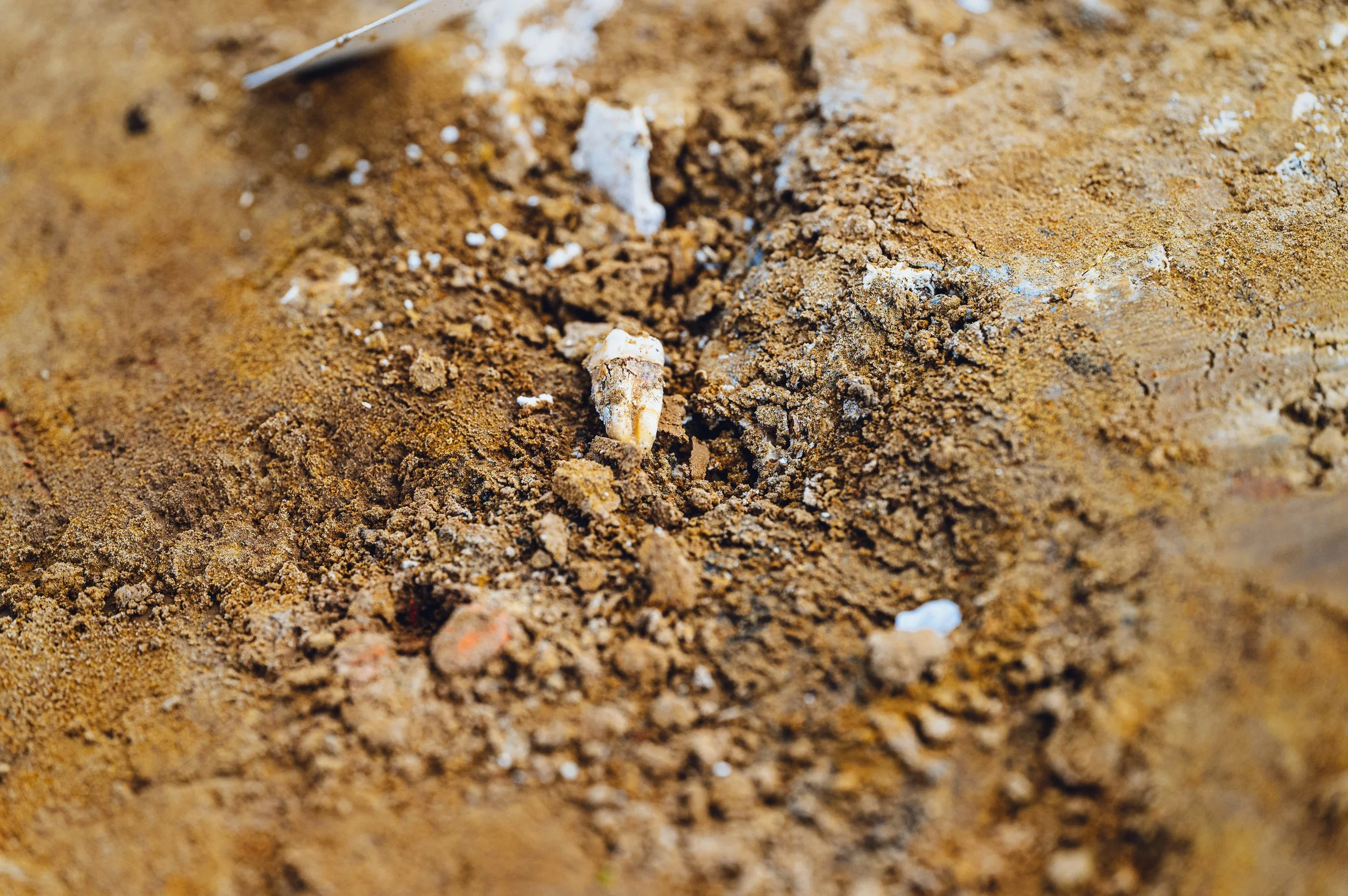 flitsmedia.com (33 van 41).jpg