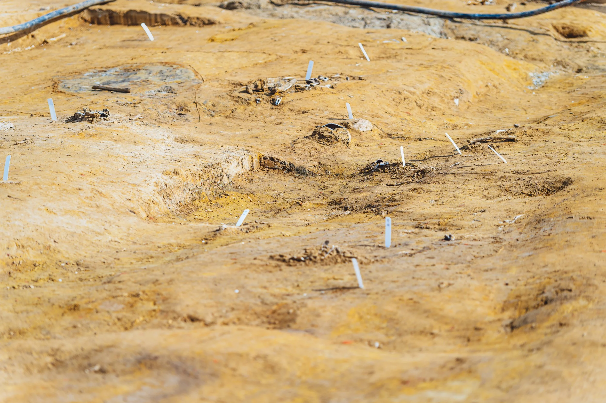 flitsmedia.com (5 van 41).jpg