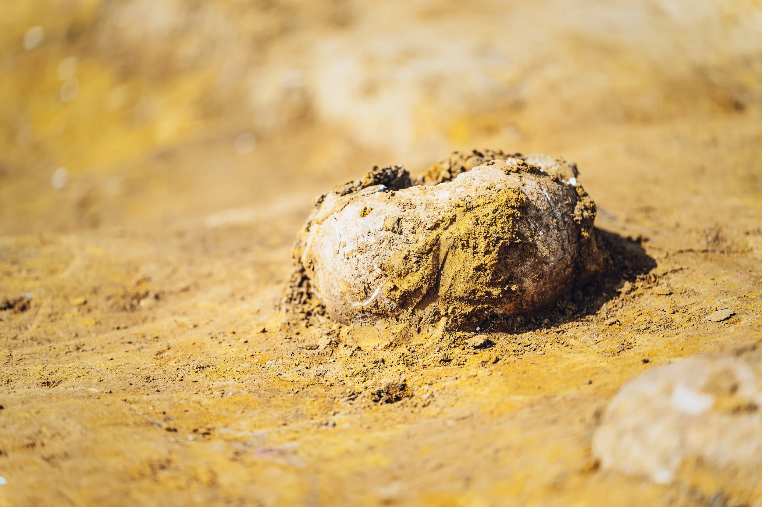 flitsmedia.com (20 van 41).jpg