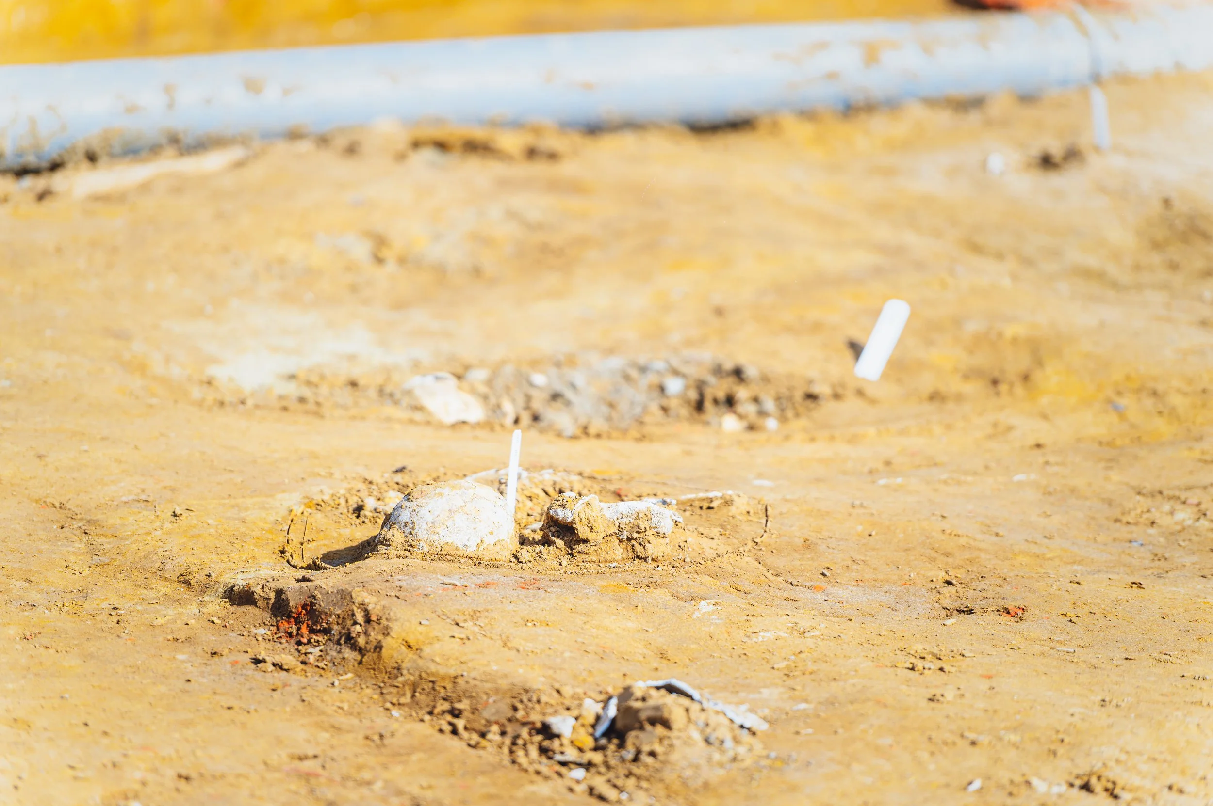 flitsmedia.com (1 van 41).jpg