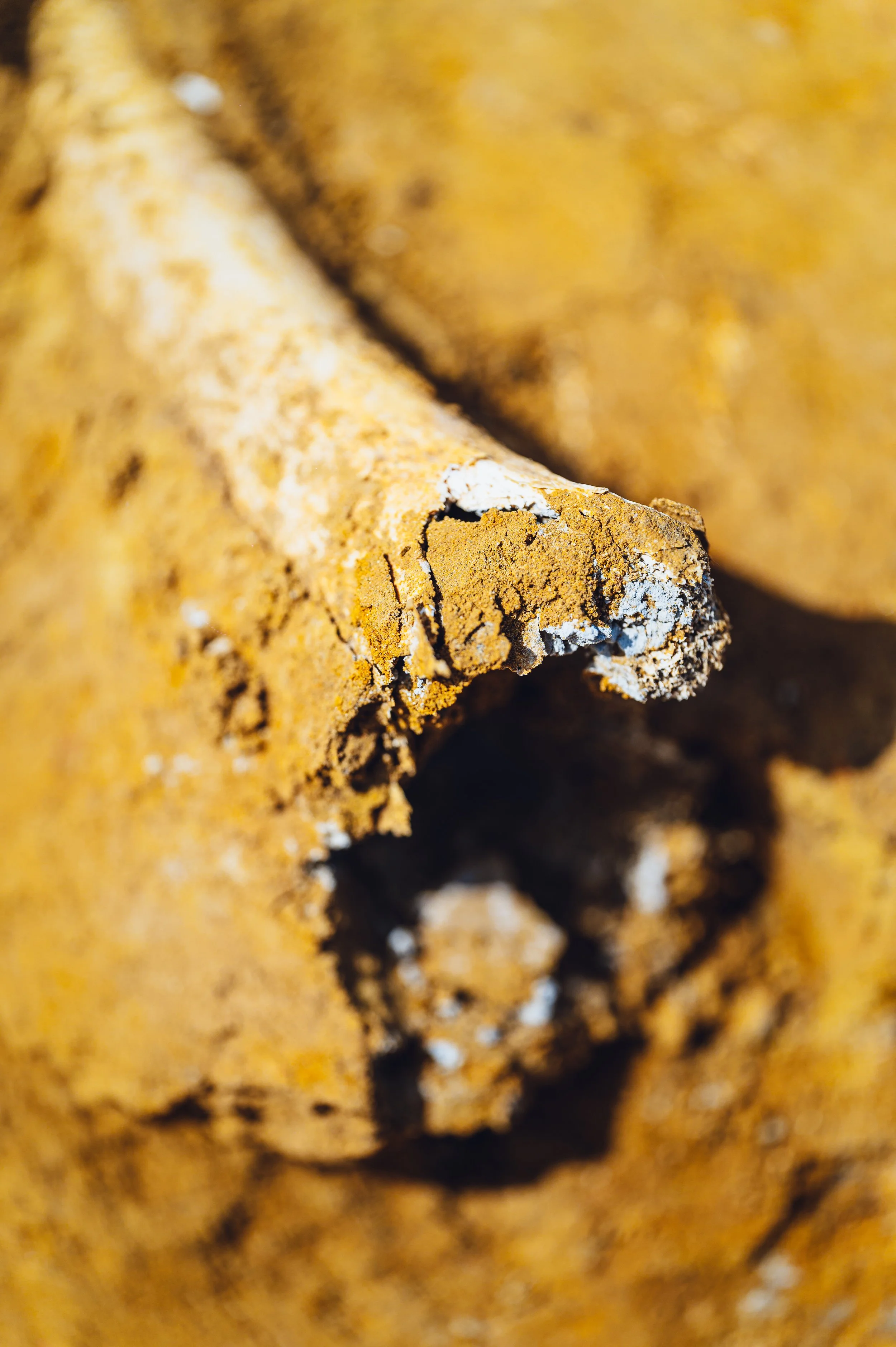 flitsmedia.com (28 van 41).jpg